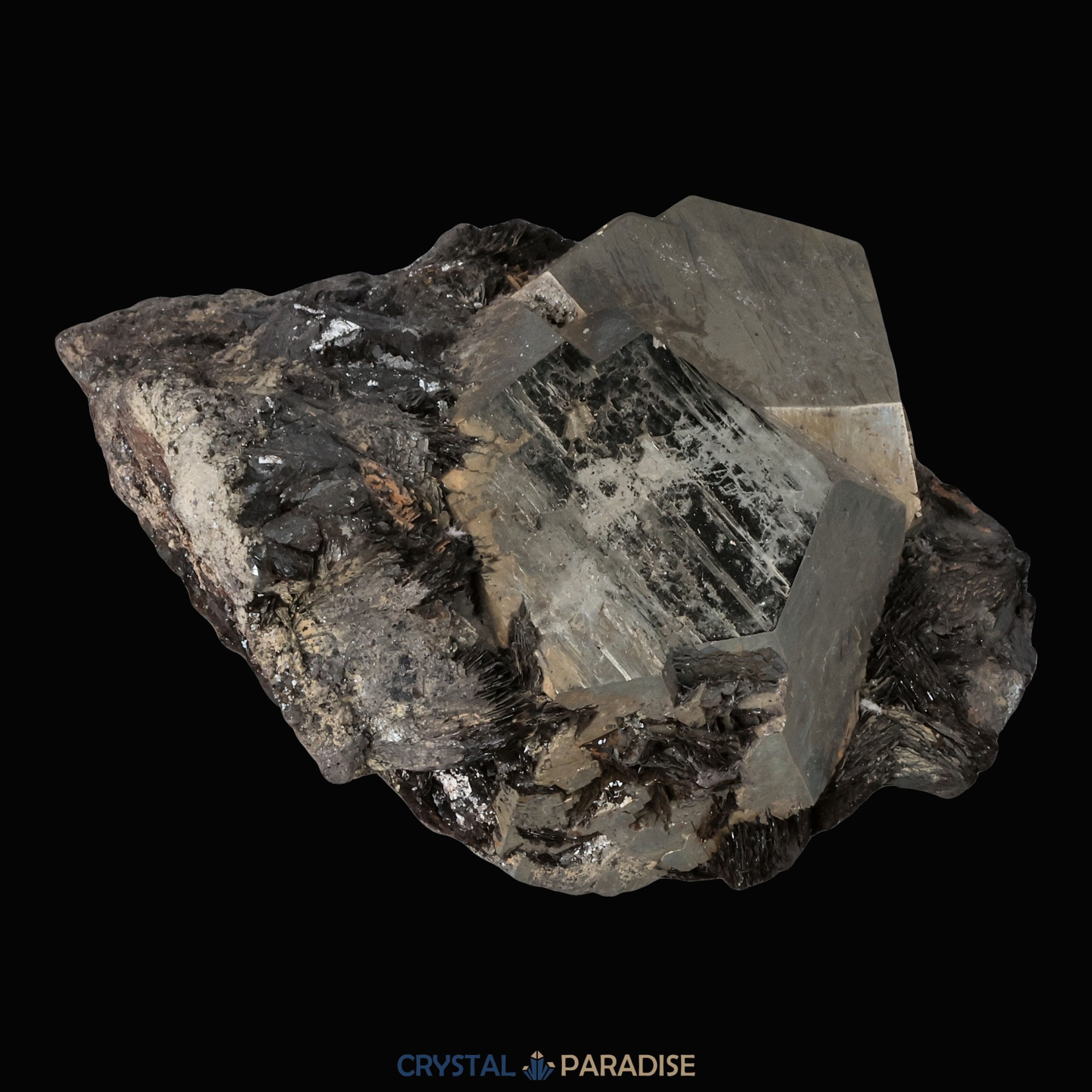 Pyrit mit Hämatit aus Elba, Italien (210g) – Ansicht 8