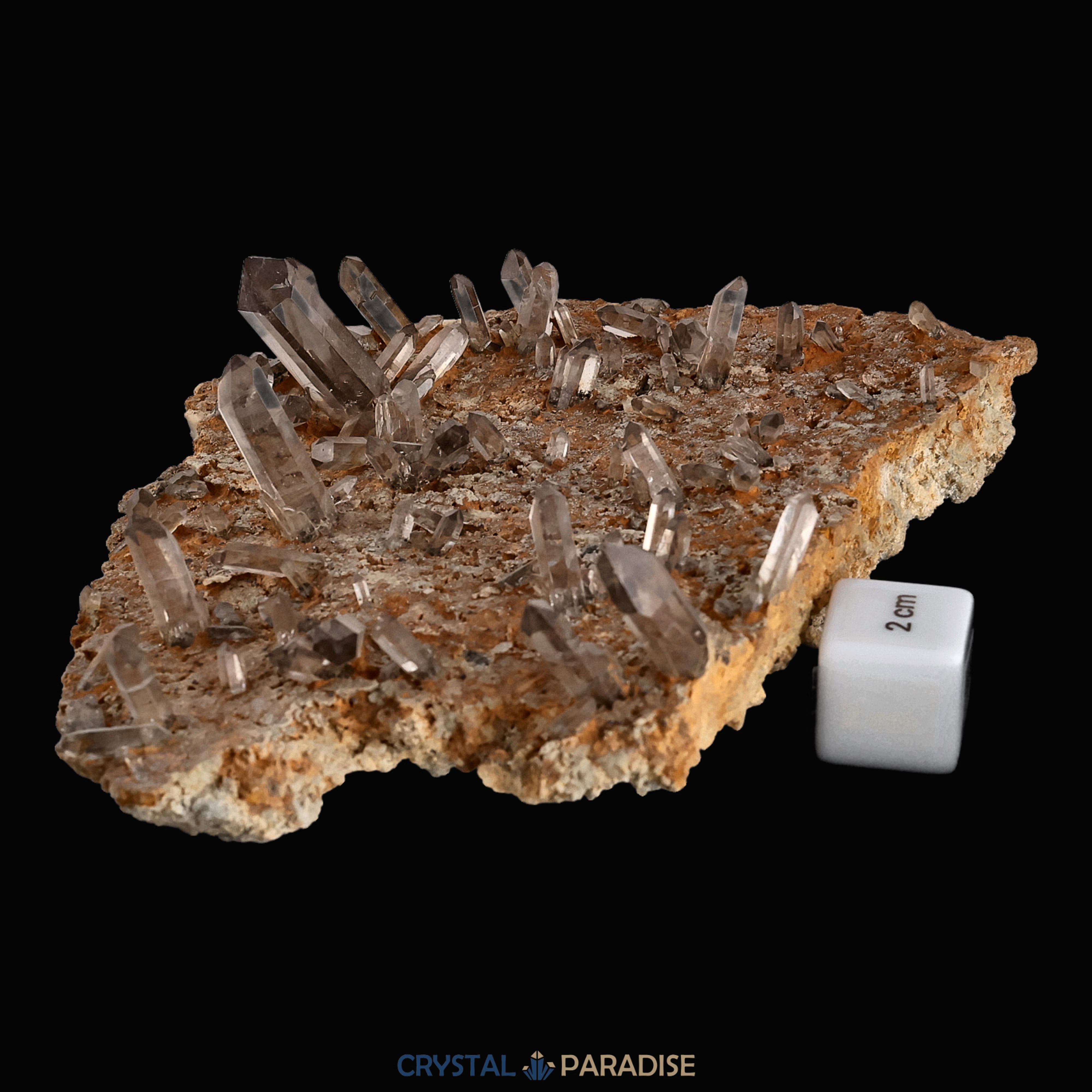 Rauchquarz aus der Murmeltierkluft, Schweiz (386g) – Ansicht 7