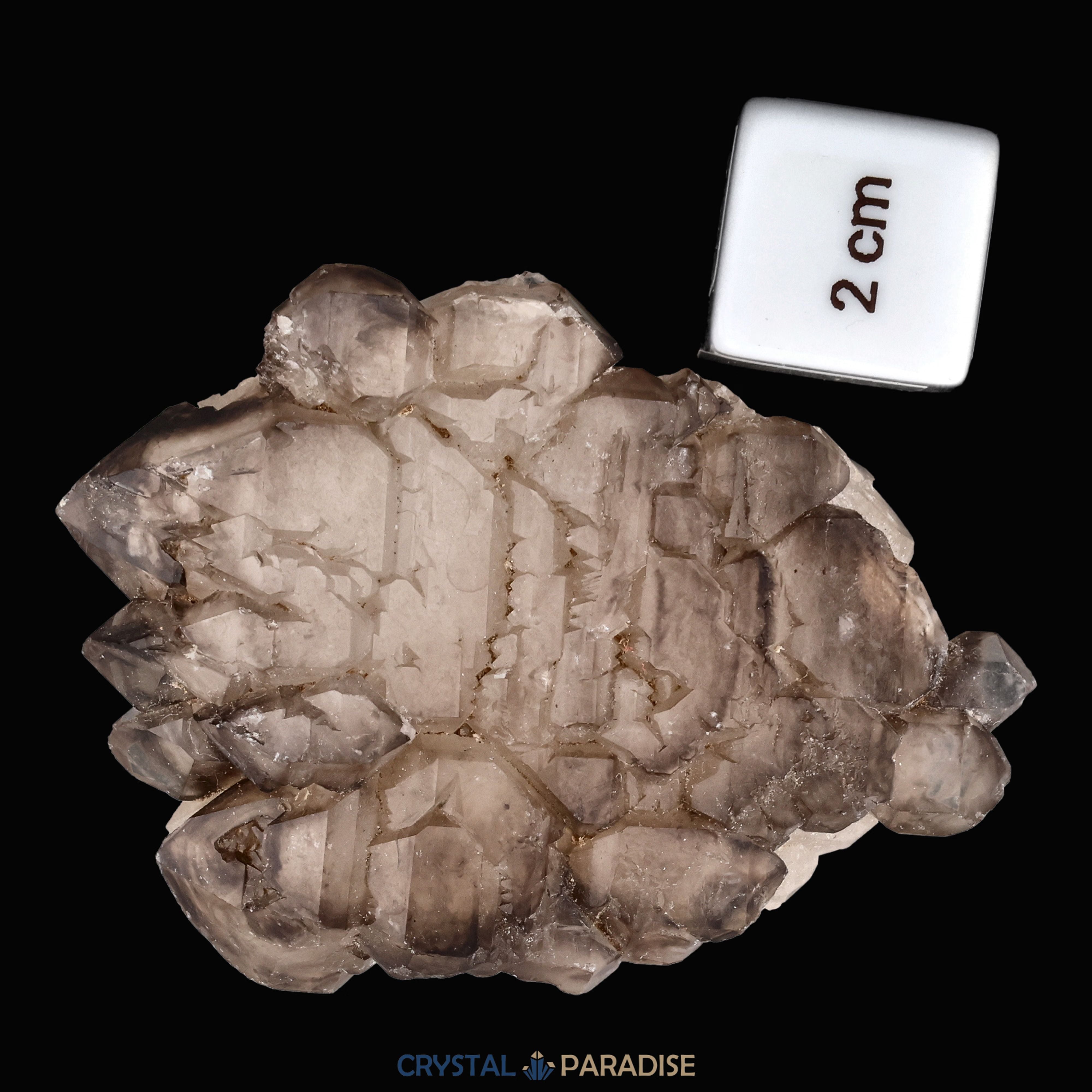 Rauchquarz Skelettquarz aus Brasilien (104g) – Ansicht 10