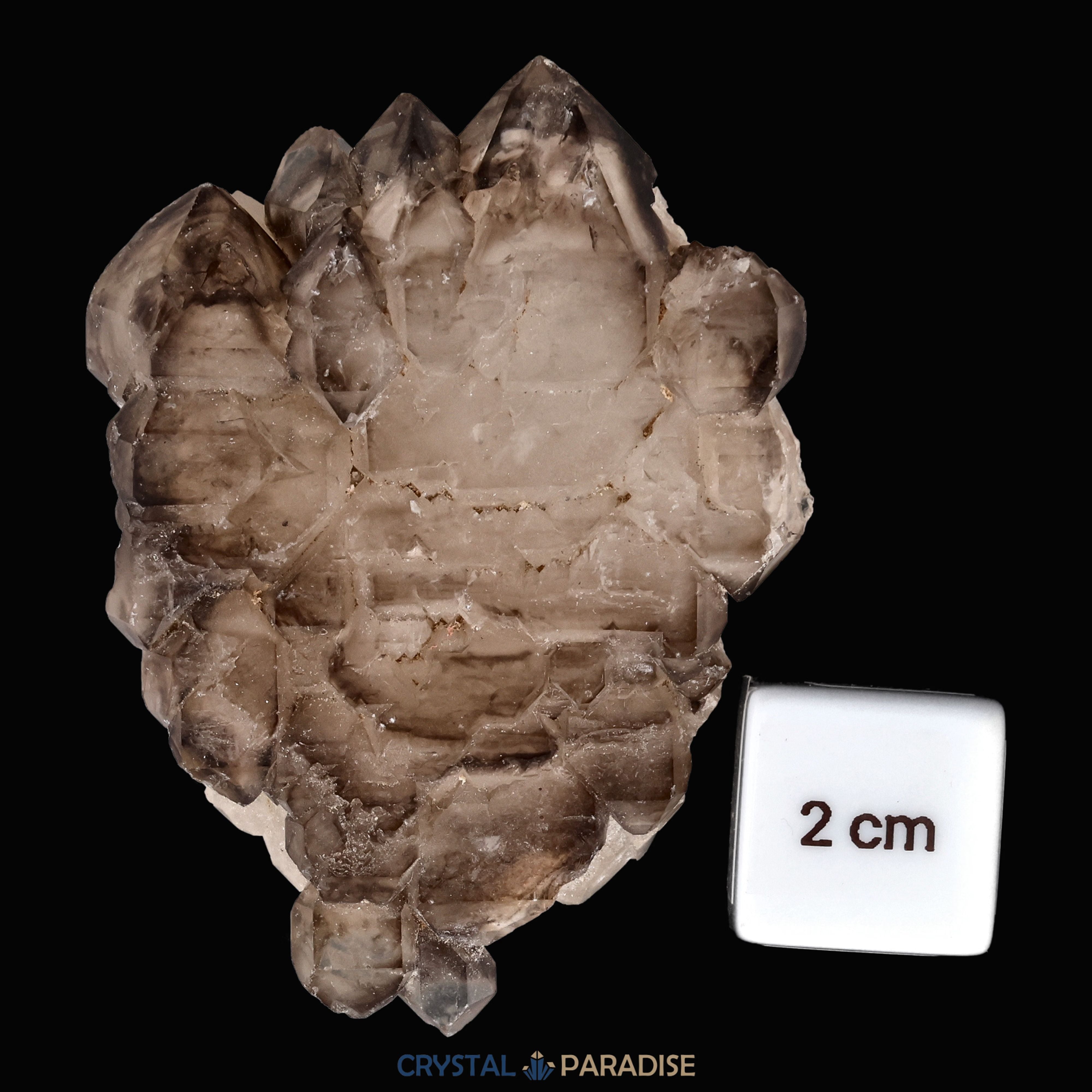 Rauchquarz Skelettquarz aus Brasilien (104g) – Ansicht 5