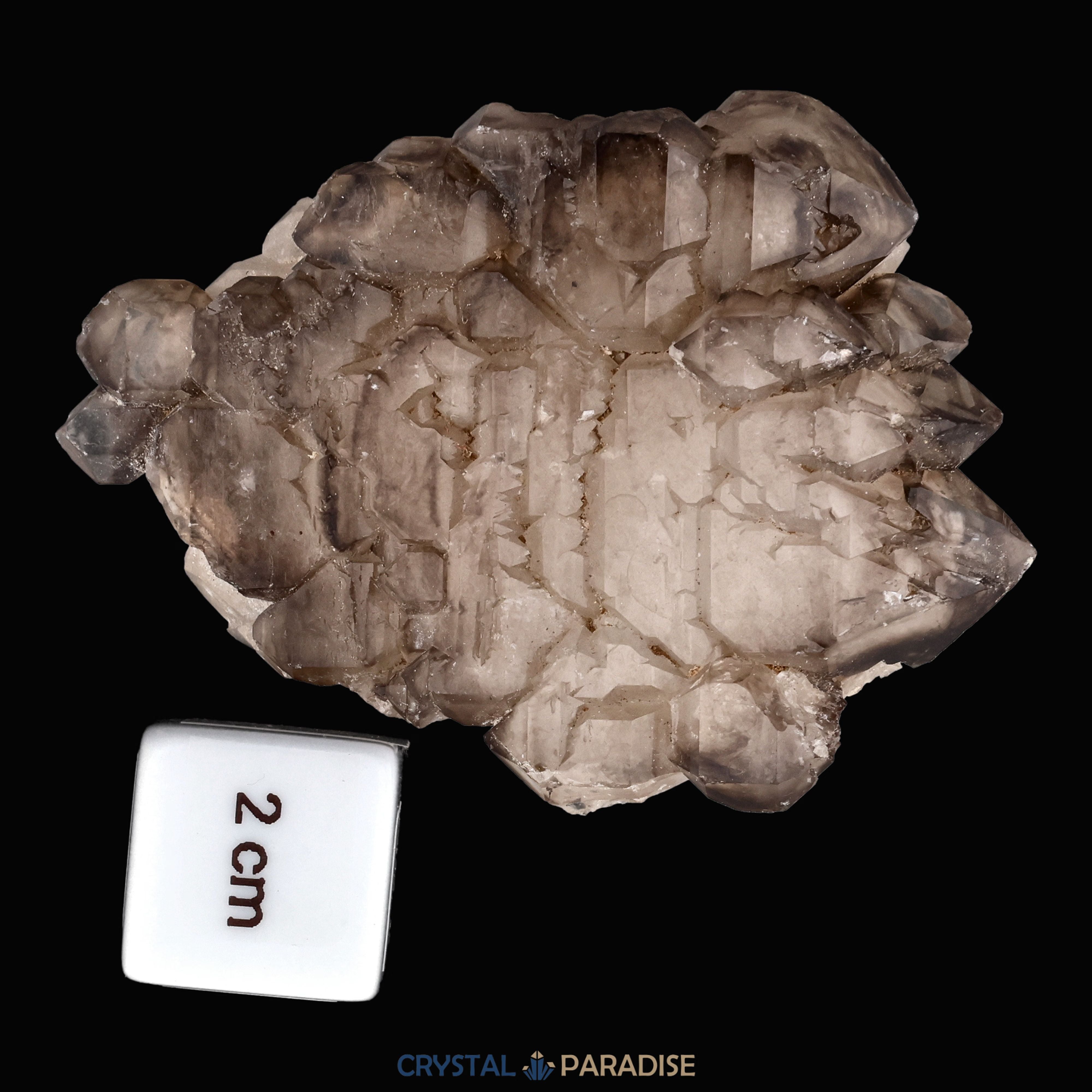 Rauchquarz Skelettquarz aus Brasilien (104g) – Ansicht 7