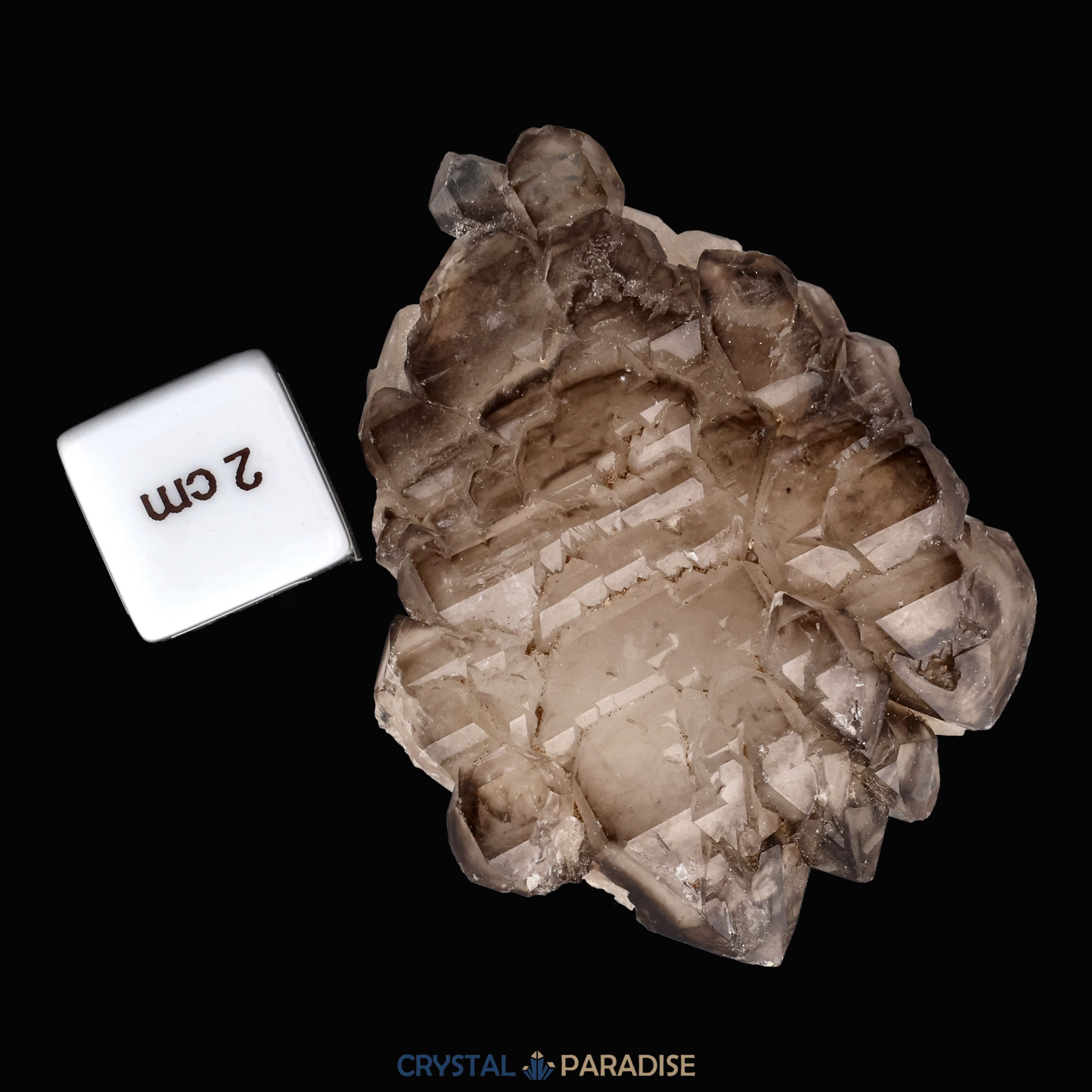 Rauchquarz Skelettquarz aus Brasilien (104g) – Ansicht 8