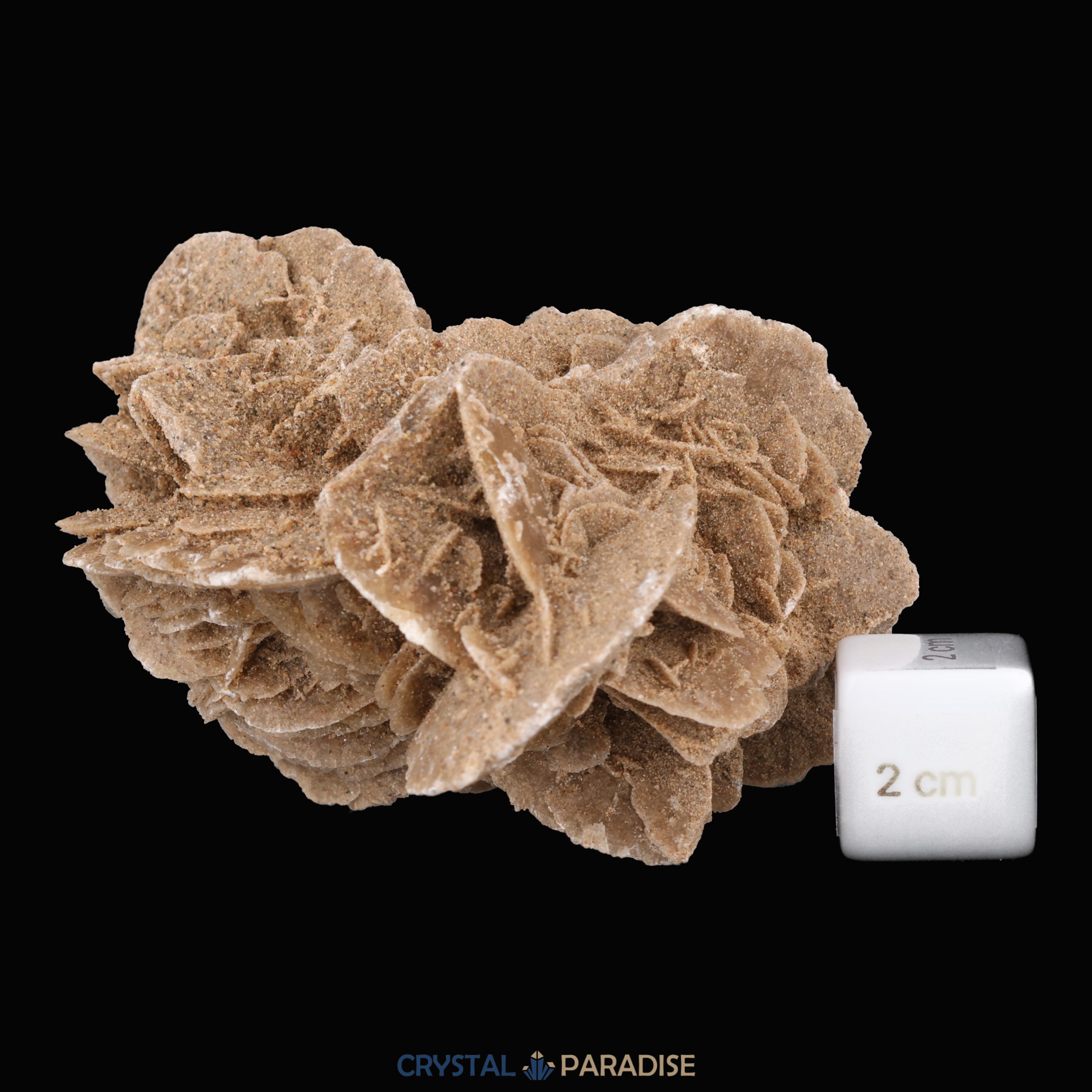 Sandrose aus der inneren Mongolei, China (303g) – Ansicht 10