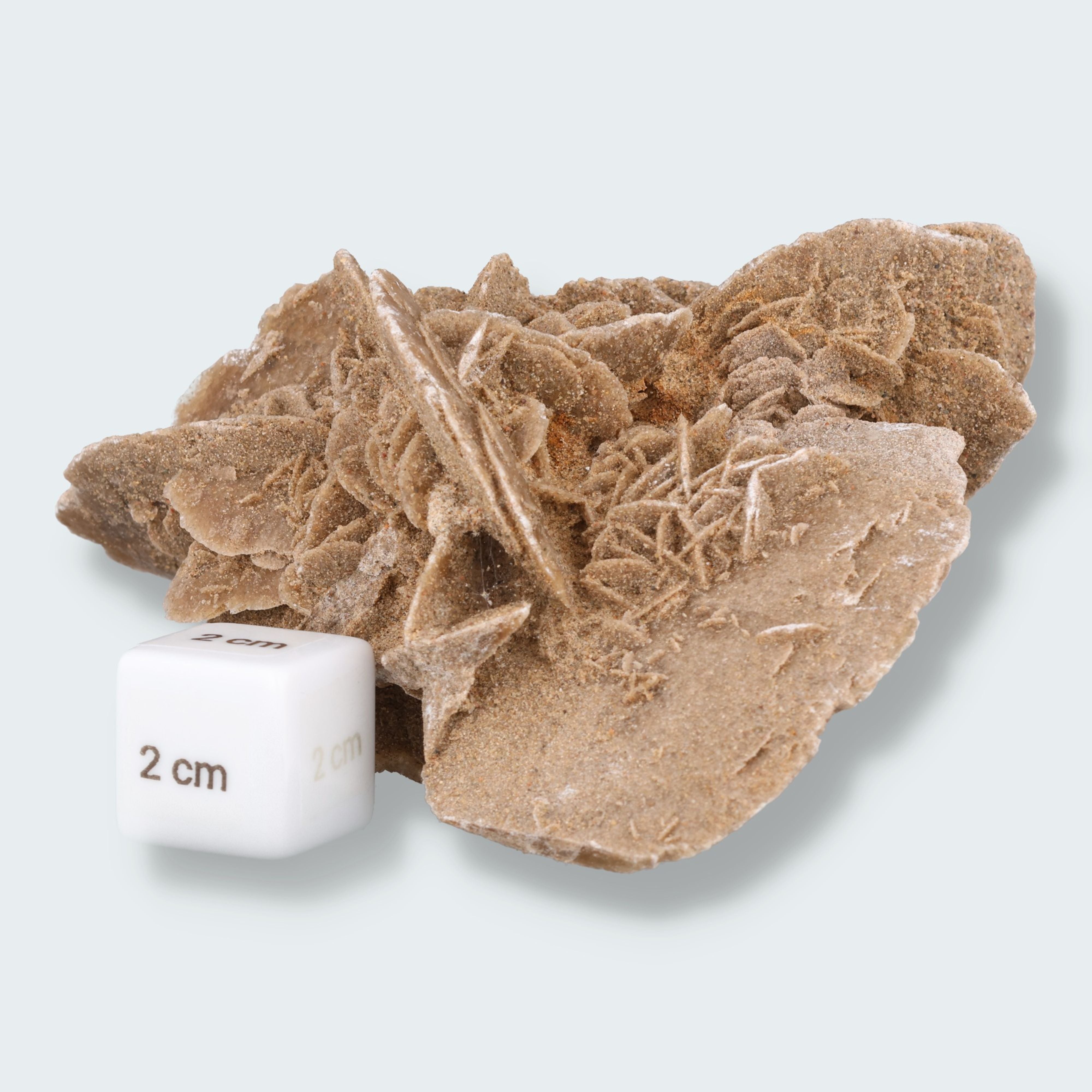 Sandrose aus der inneren Mongolei, China (303g) – Ansicht 3