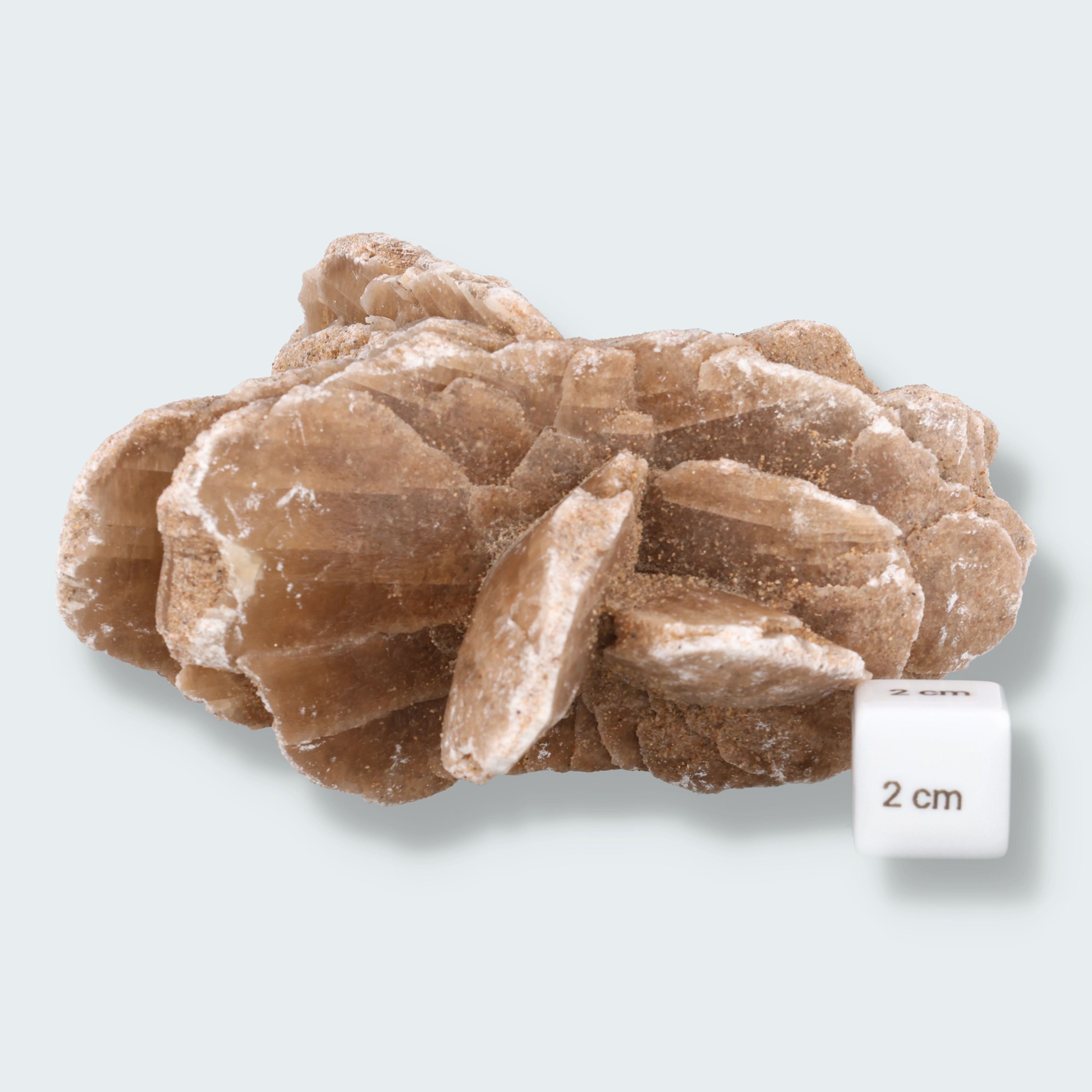 Sandrose aus der inneren Mongolei, China (585g) – Ansicht 2