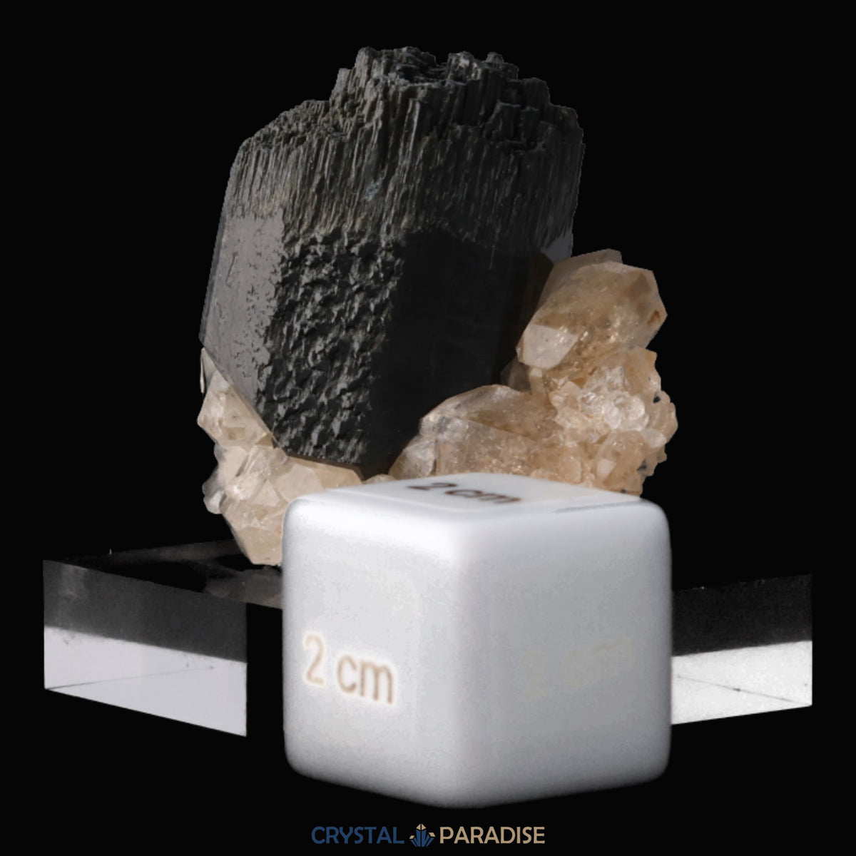 Schörl Turmalin mit Rauchquarz aus Erongo, Namibia (59g) – Ansicht 3