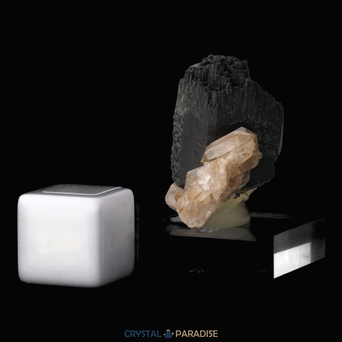 Schörl Turmalin mit Rauchquarz aus Erongo, Namibia (59g) – Ansicht 4