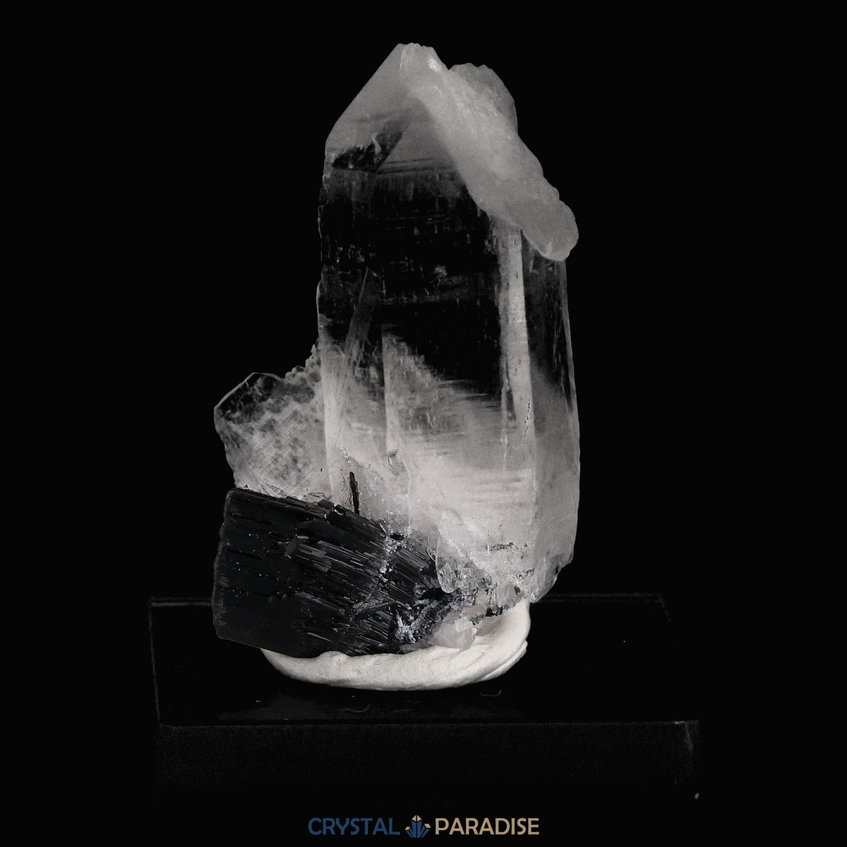 Schwarzer Schörl Turmalin an Himalaya Bergkristall (13g) – Ansicht 4