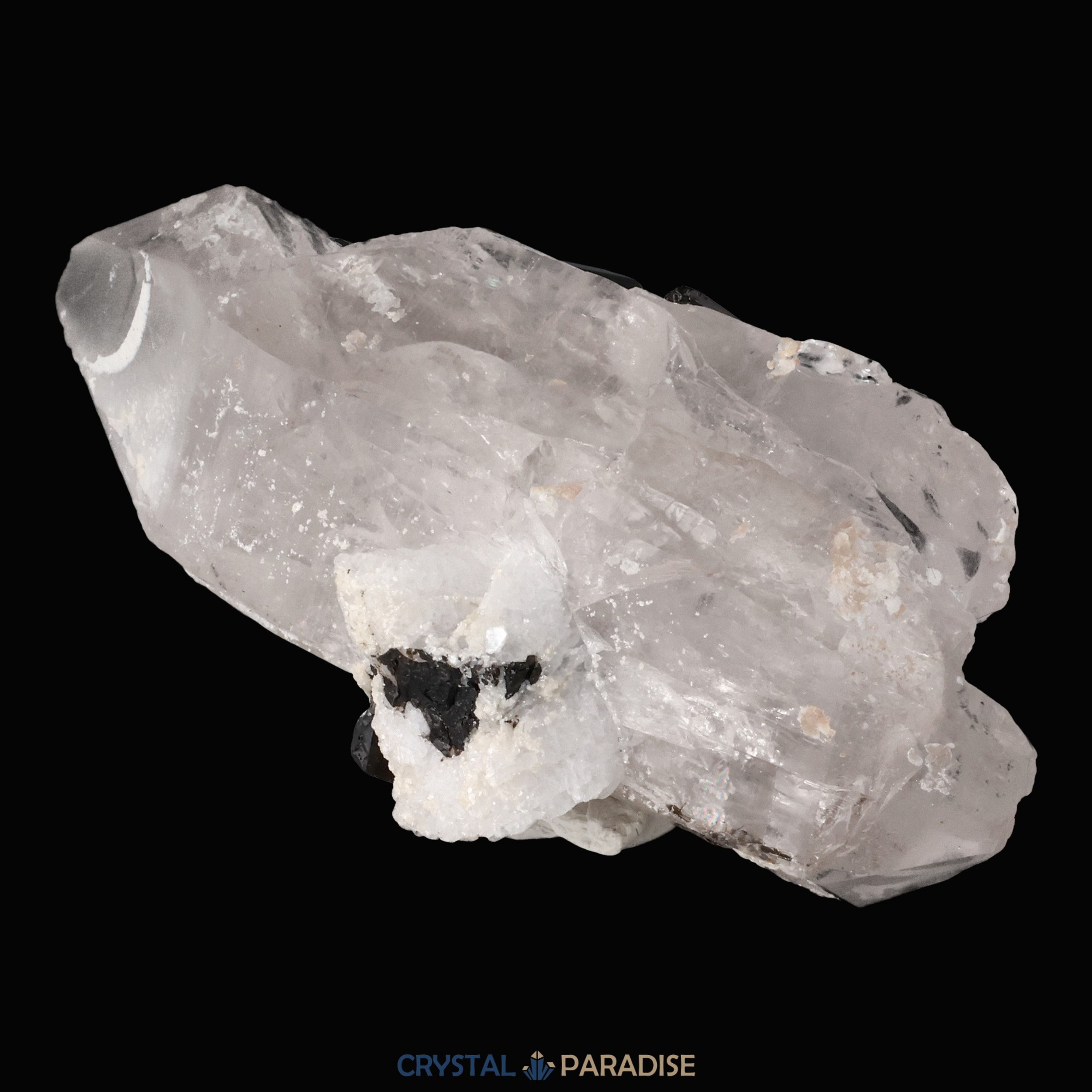 Schwarzer Schörl Turmalin an Himalaya Bergkristall (57g) – Ansicht 4