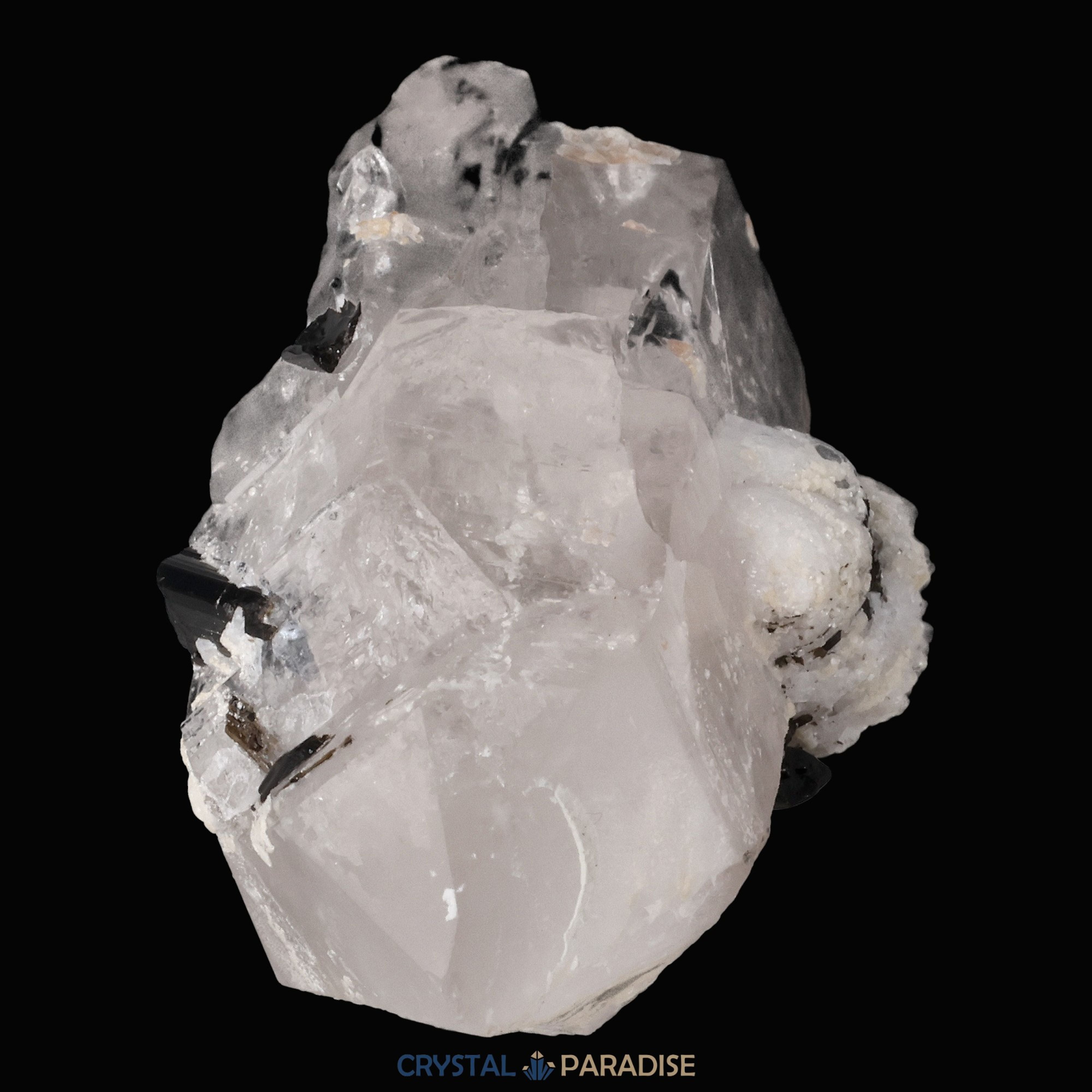 Schwarzer Schörl Turmalin an Himalaya Bergkristall (57g) – Ansicht 8
