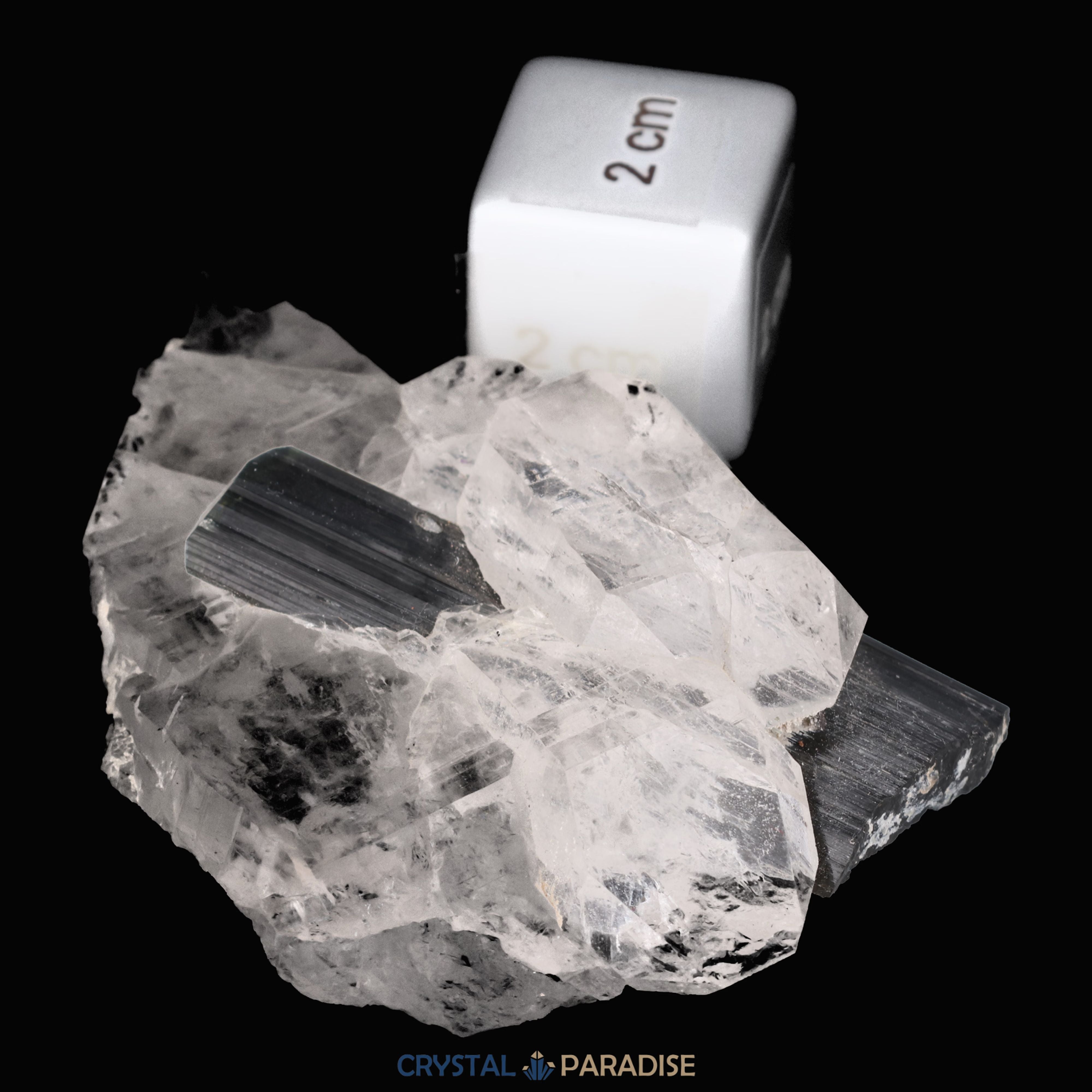 Schwarzer Schörl Turmalin an Himalaya Bergkristall (70g) – Ansicht 7