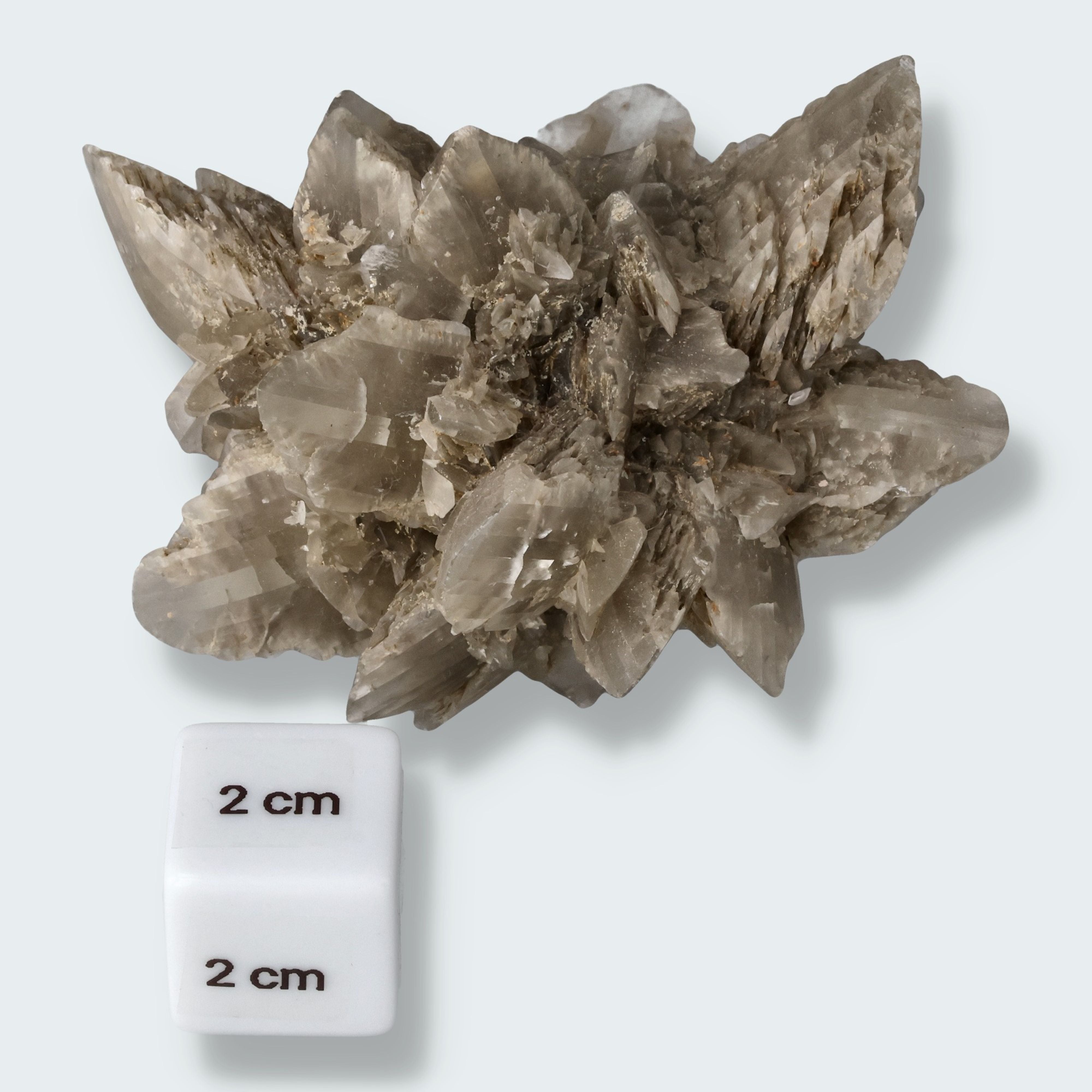 Selenit aus Hoxfeld (172g) – Ansicht 2