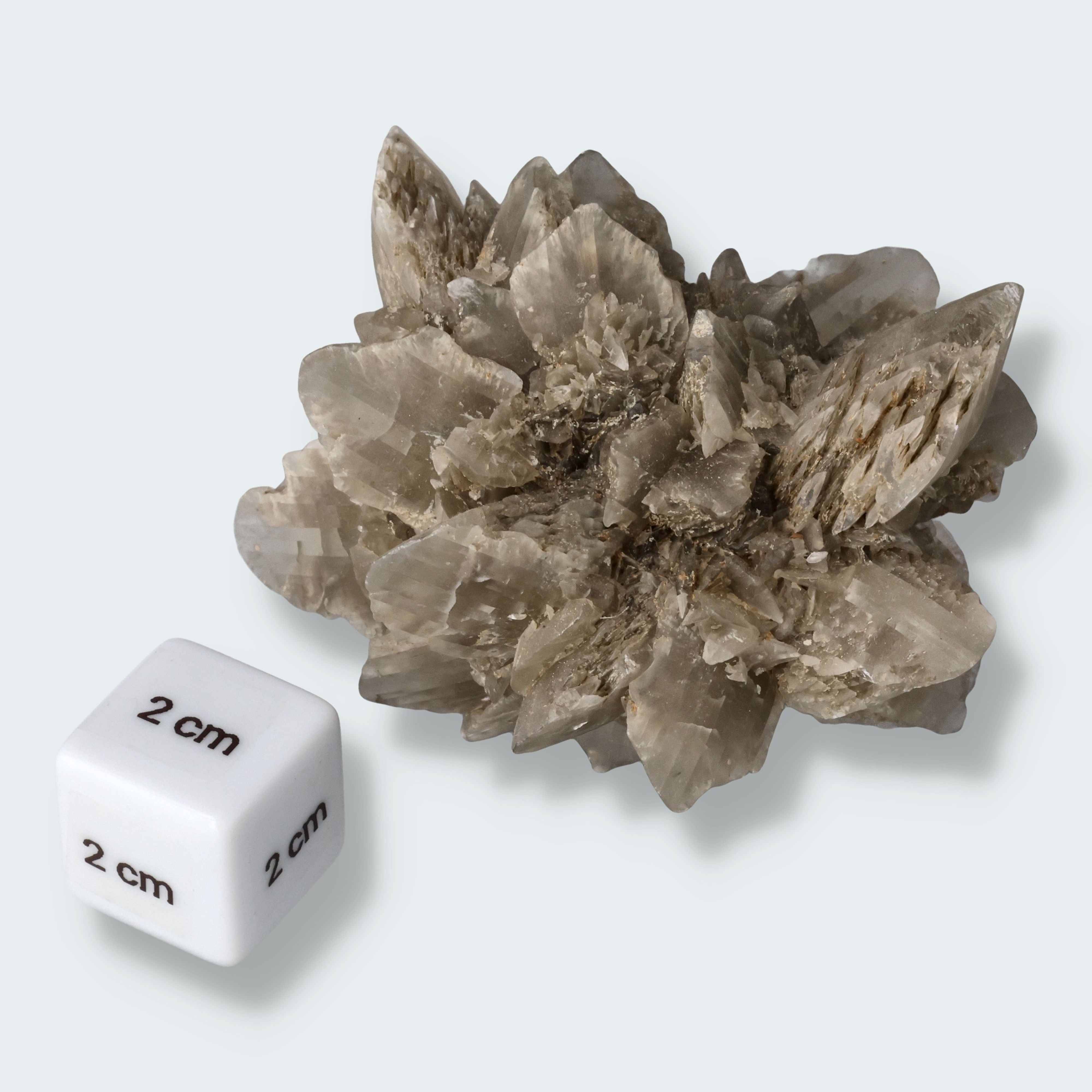 Selenit aus Hoxfeld (172g) – Ansicht 3