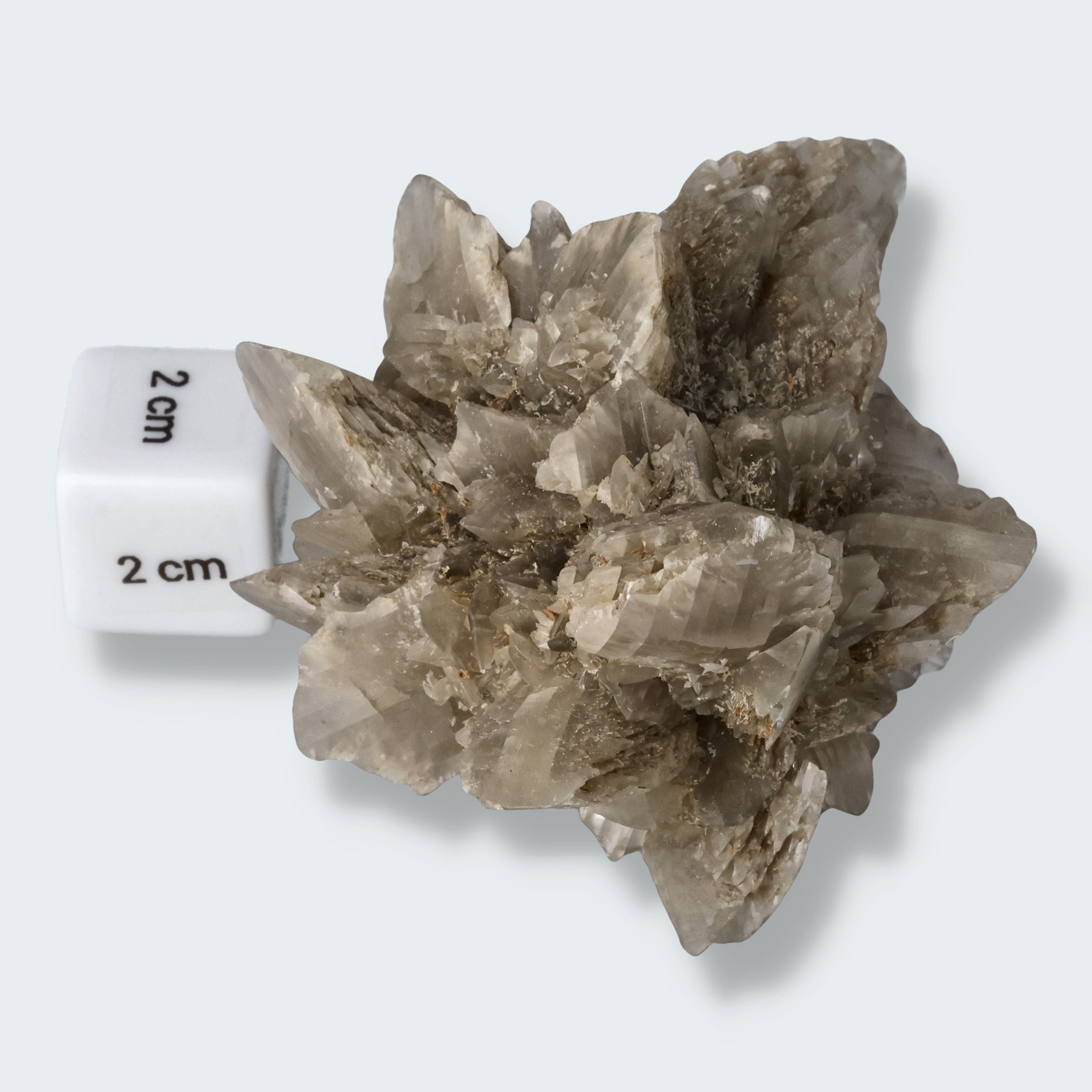 Selenit aus Hoxfeld (172g) – Ansicht 4