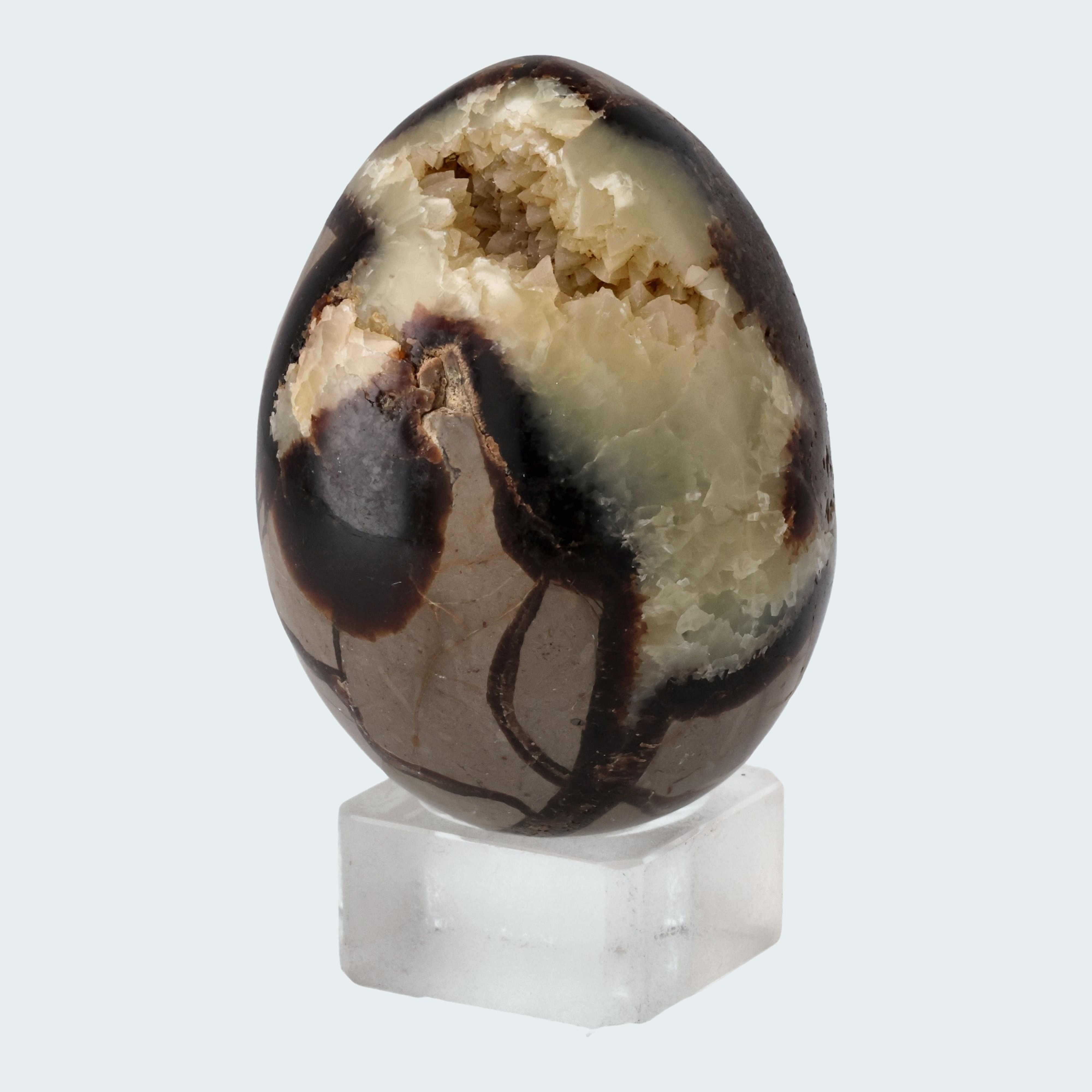 Septarie Druzy Eier (335-520g) – Ansicht 2
