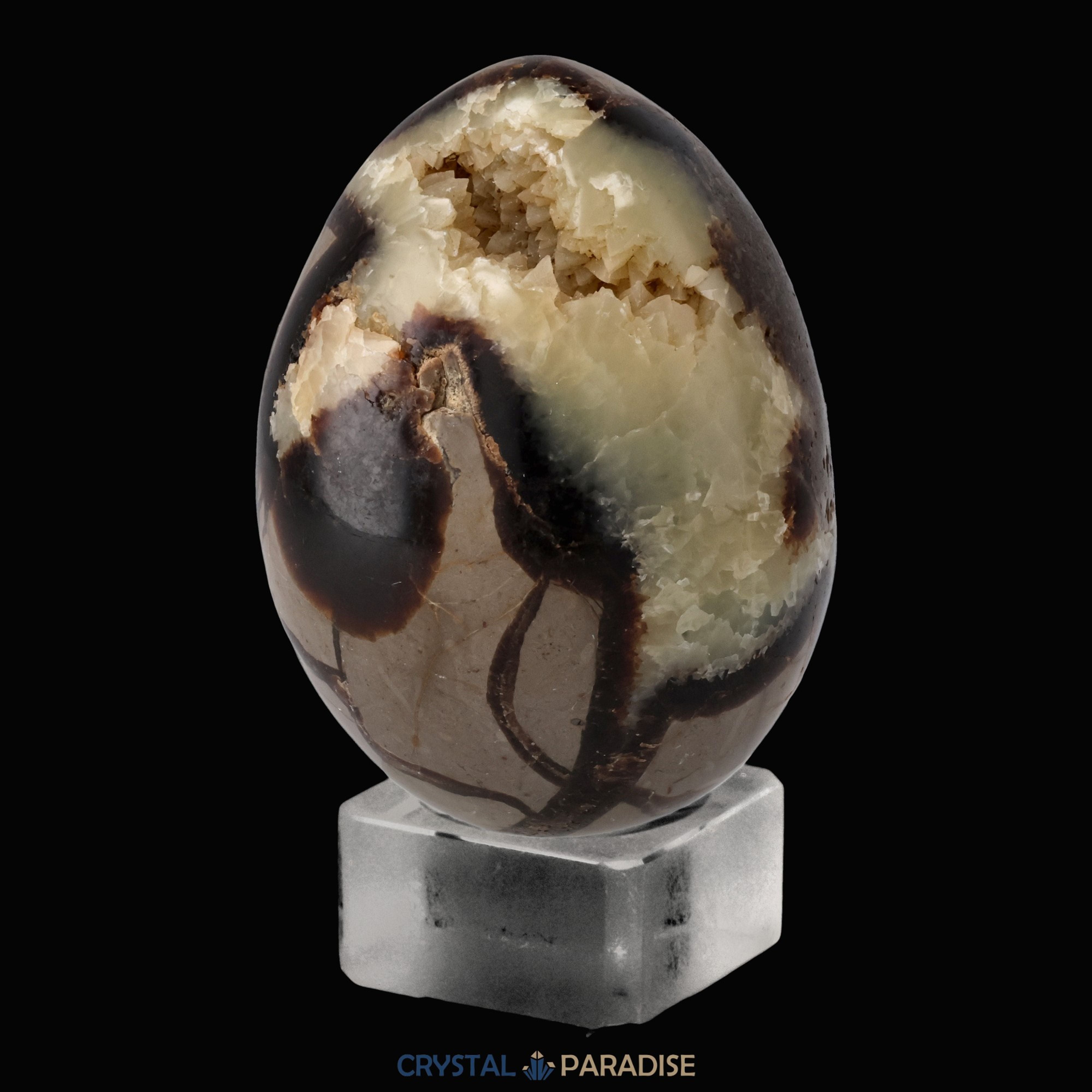 Septarie Druzy Eier (335-520g) – Ansicht 5