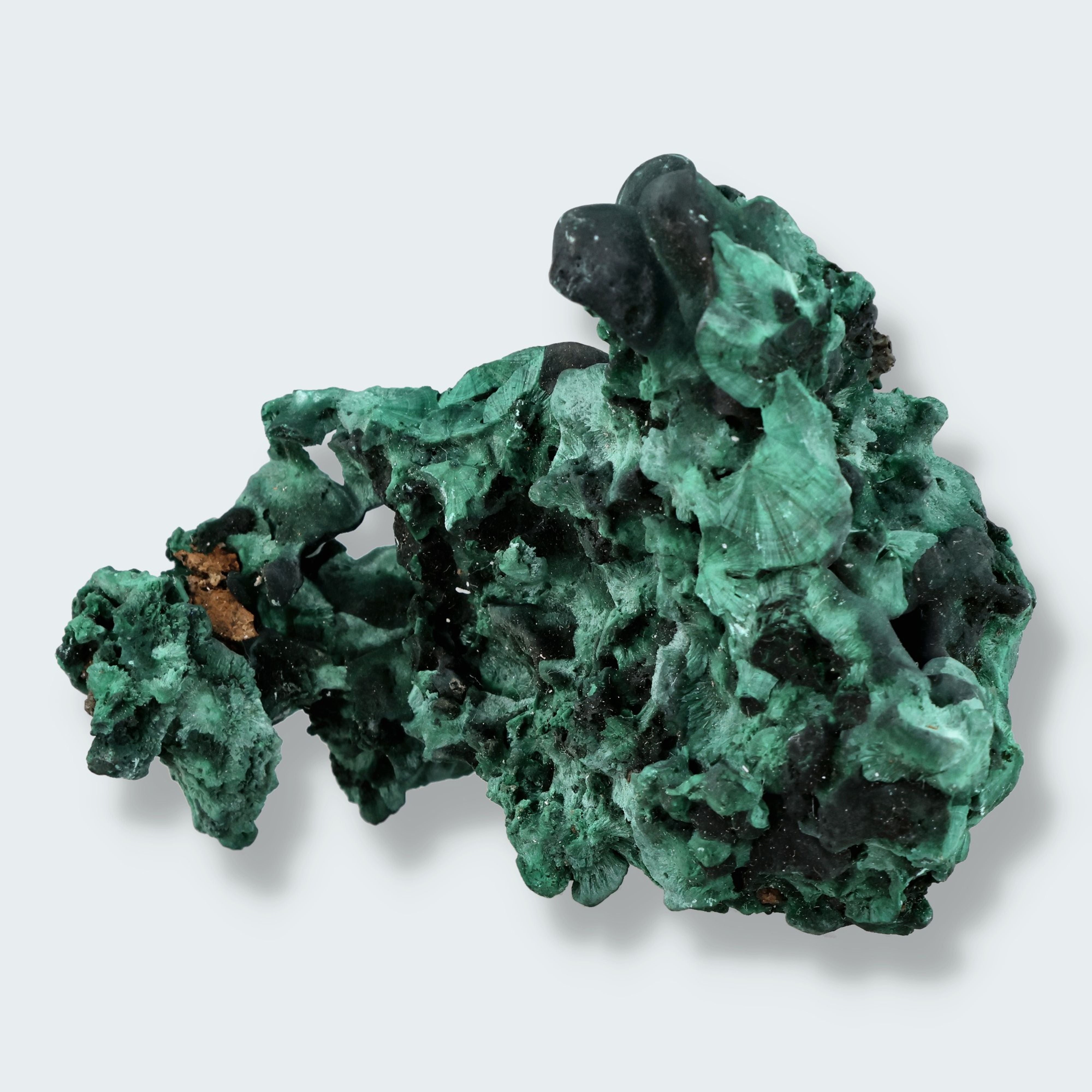 Velvet Samt Malachit Stufe aus der Tantara Mine, Kongo (157g) – Ansicht 2