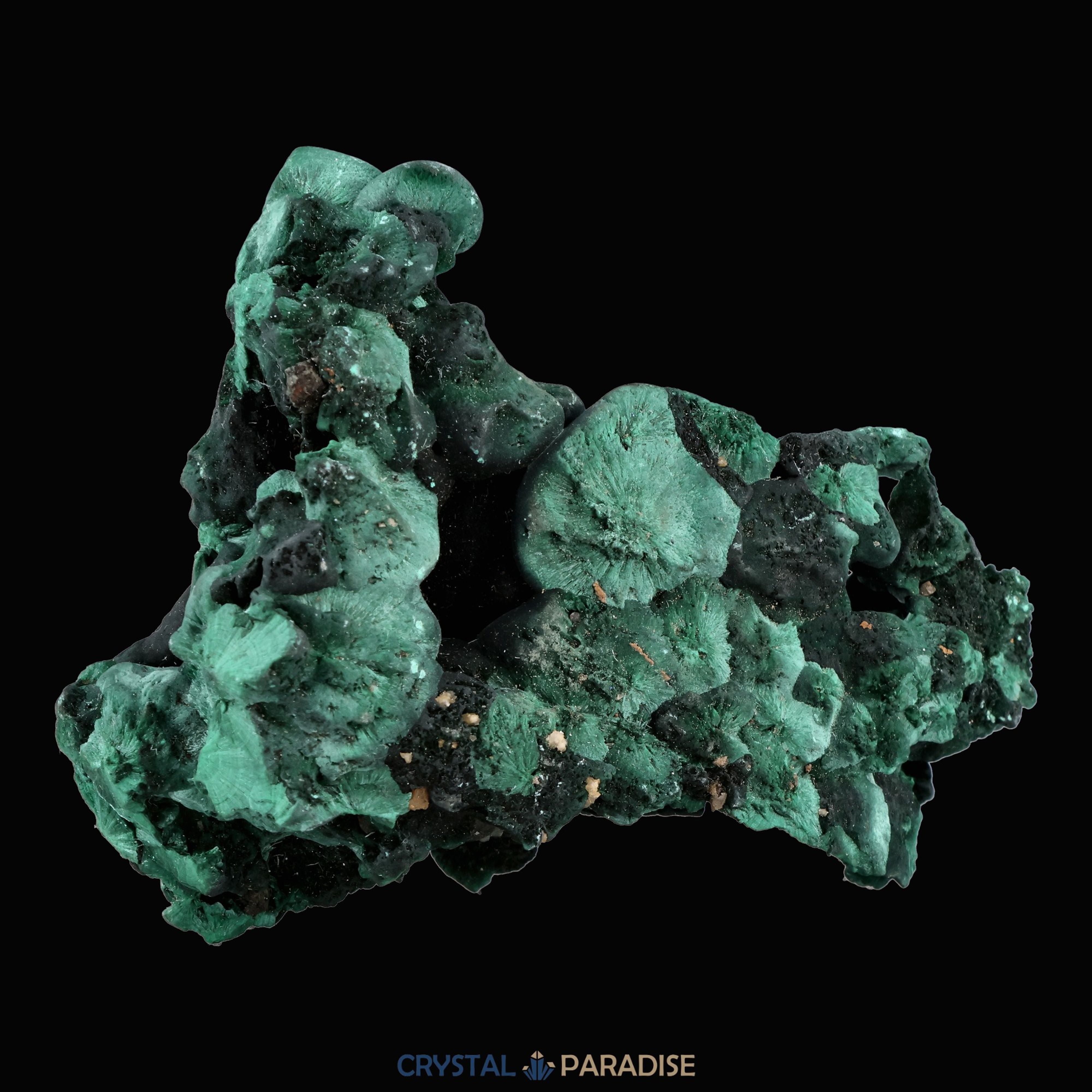 Velvet Samt Malachit Stufe aus der Tantara Mine, Kongo (157g) – Ansicht 7