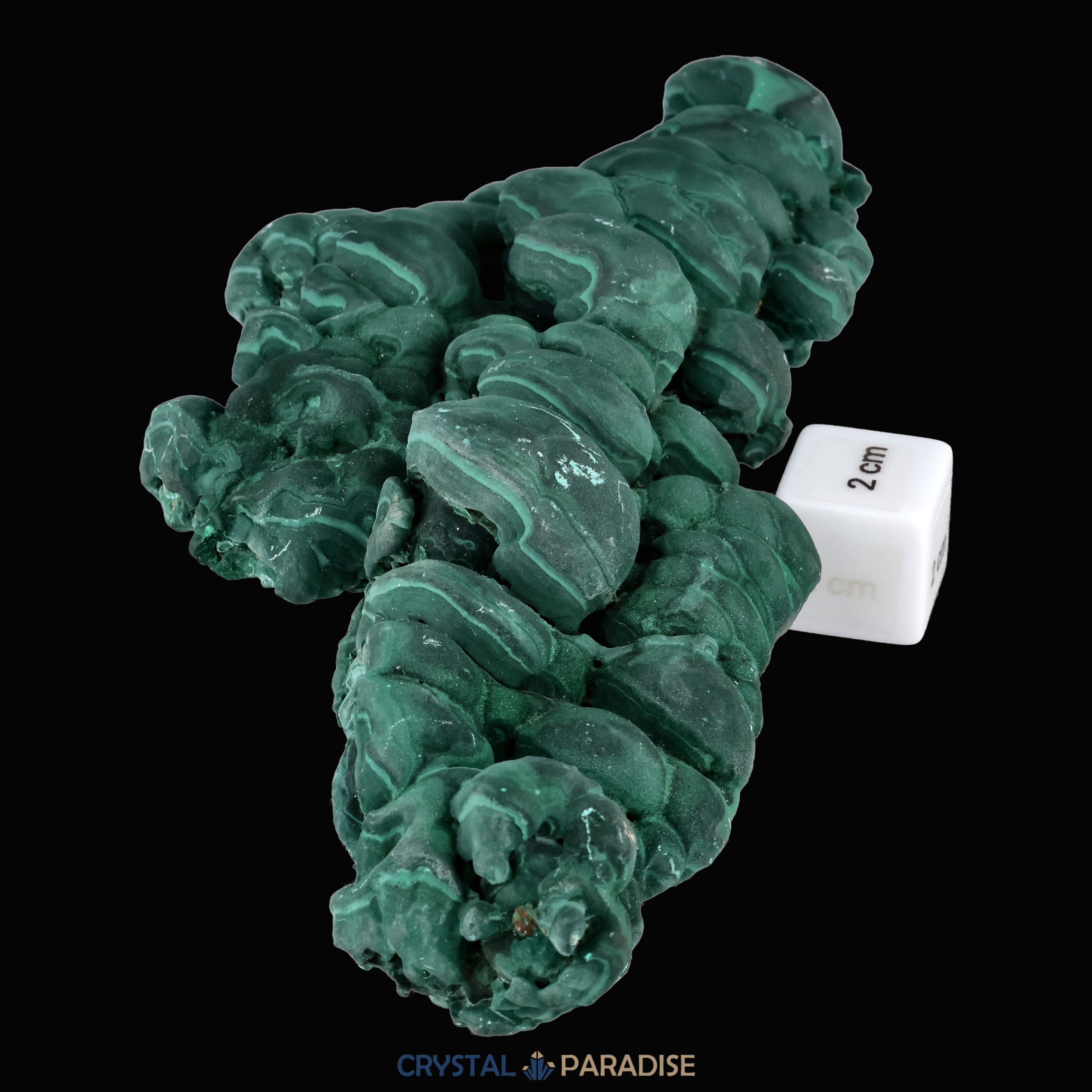 Velvet Samt Malachit Stufe aus der Tantara Mine, Kongo (720g) – Ansicht 7
