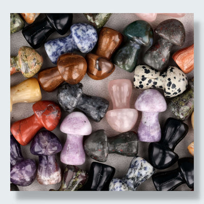 Crystal mini Pilze Mix
