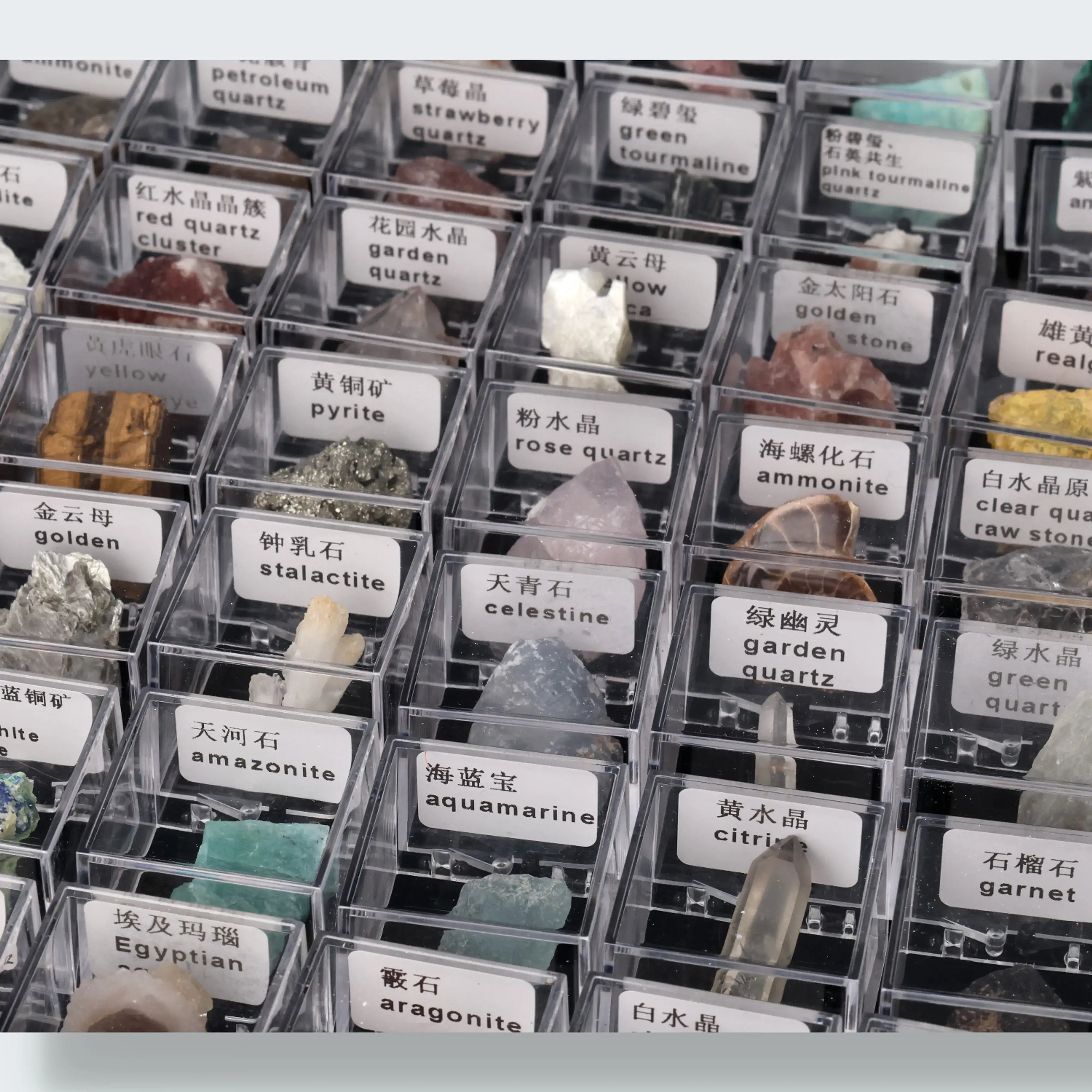 Mystery Specimen Box (3,5 cm)