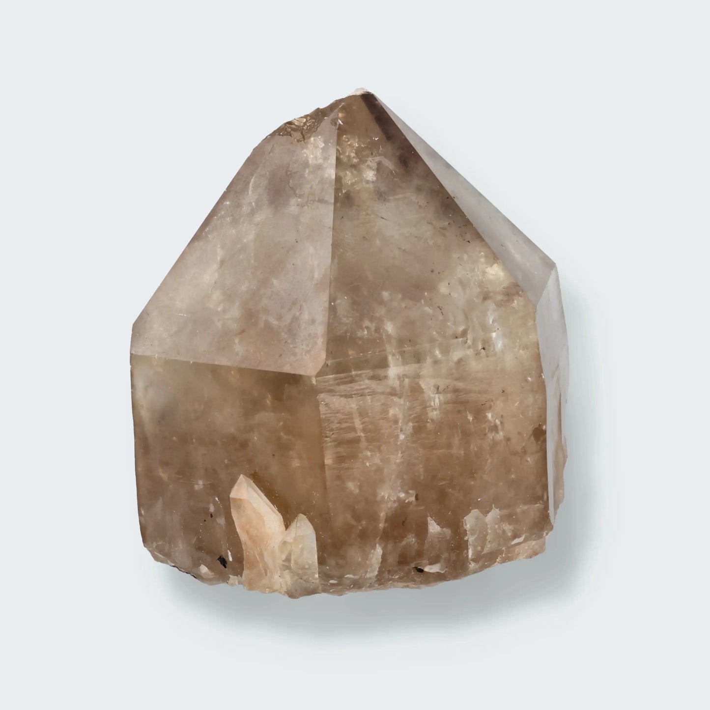 Citrin Spitze aus Kundalini, Kongo (234g)