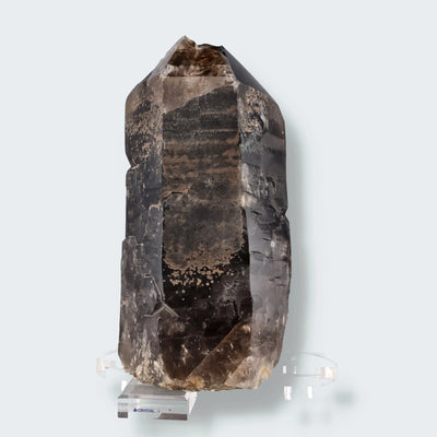 Rauchquarz Spitze XL aus Brasilien (7062g)