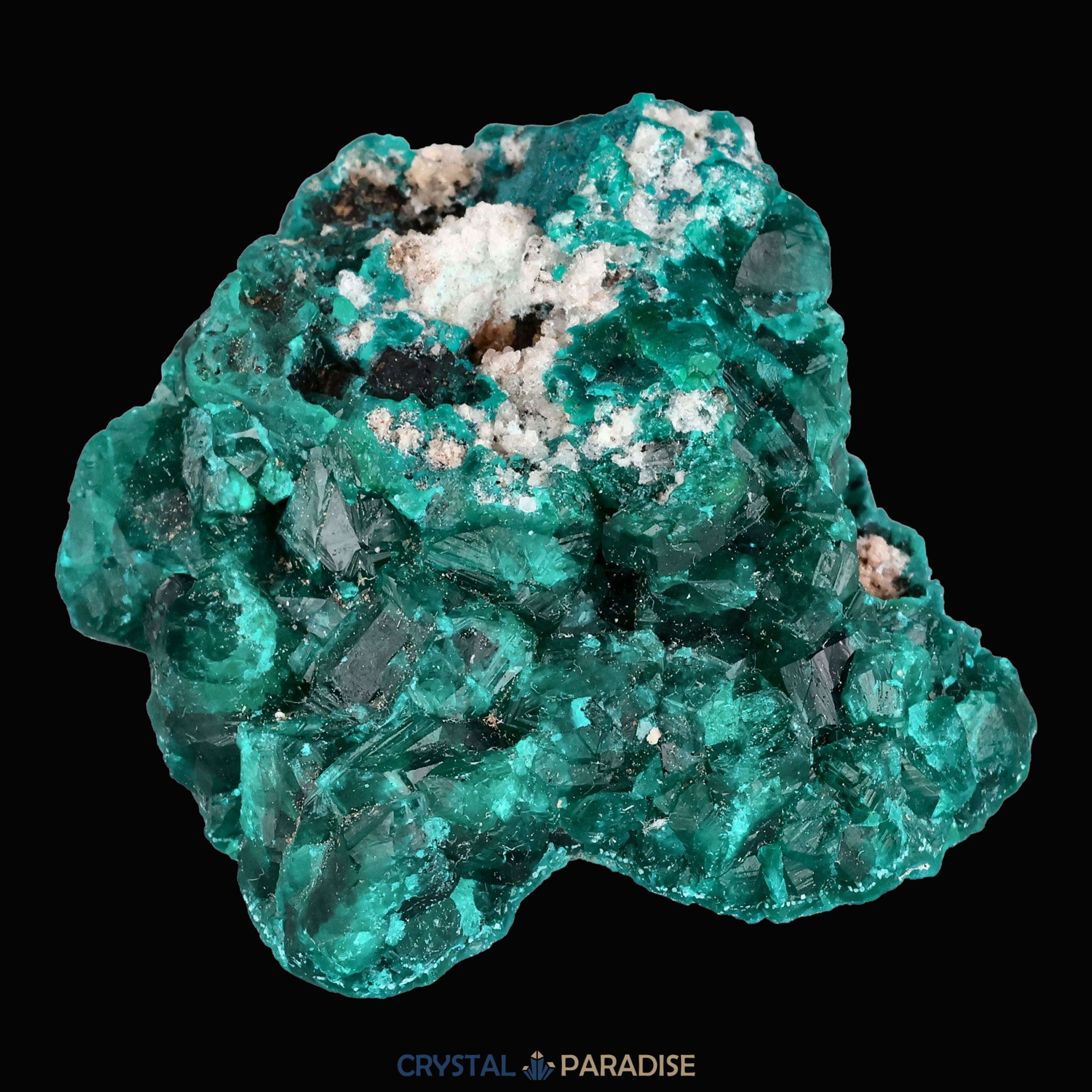Dioptas aus dem Kongo (40,6) - crystal paradise