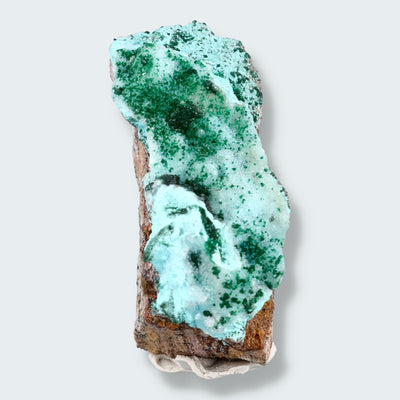 Chrysokoll Stufe aus Tenke-Fungurume, Kolwezi, Lualaba, DR Kongo (26g)