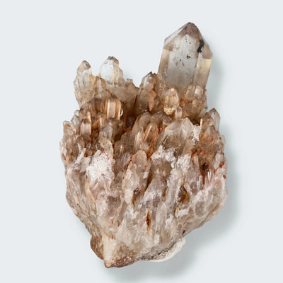 Citrin Stufe aus Kunduluni, Kongo (576g) - unbehandelt