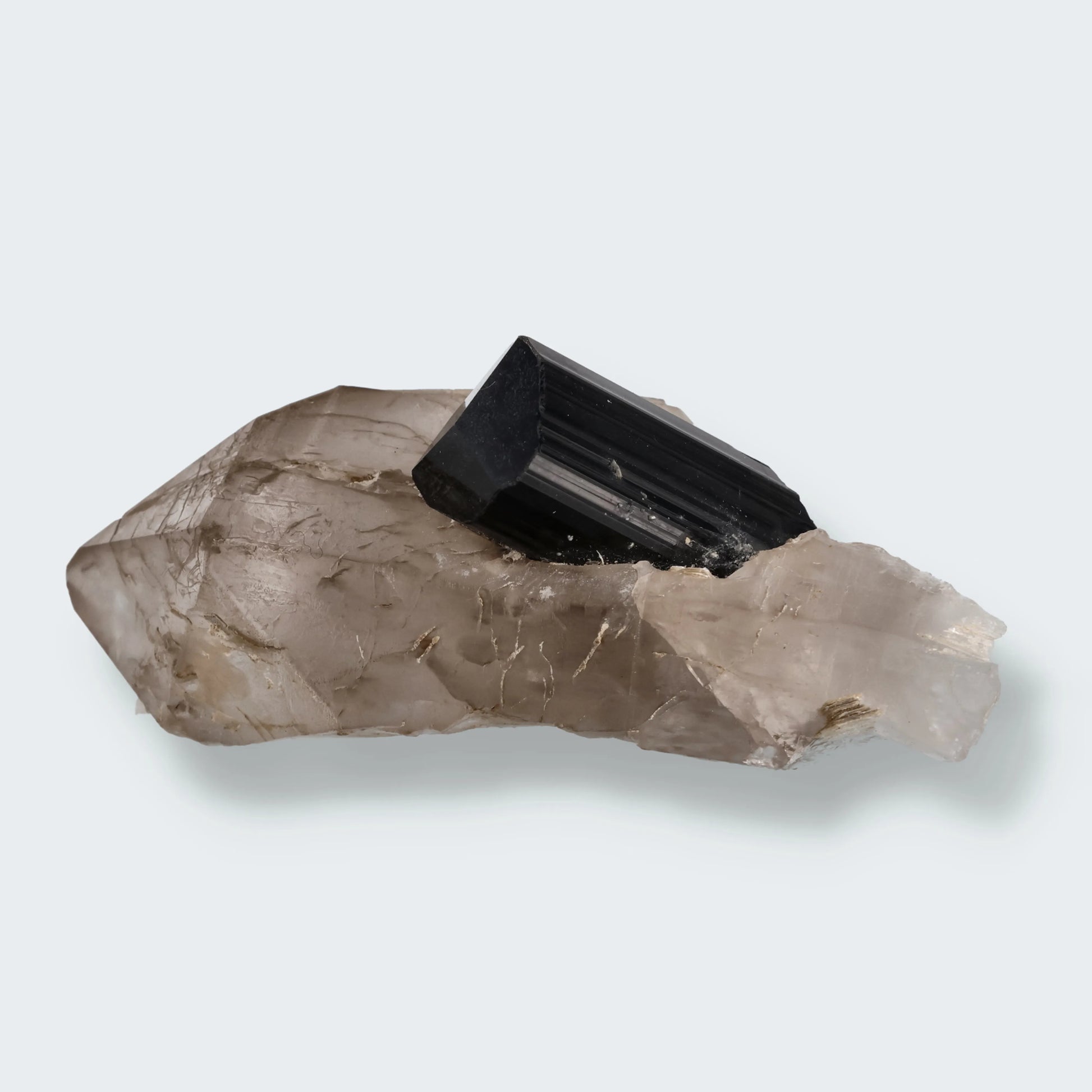 Schwarzer Schörl Turmalin an Himalaya Bergkristall (213g)