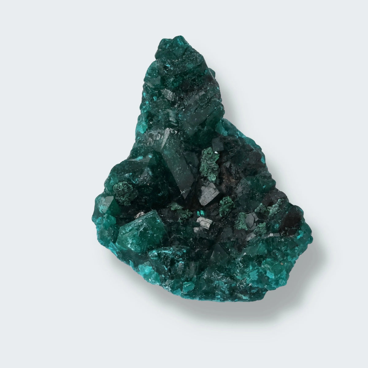 Dioptas aus Tantara Mine, Katanga, Demokratische Republik Kongo, Stufe 3,0 × 3,5 × 2,5 cm