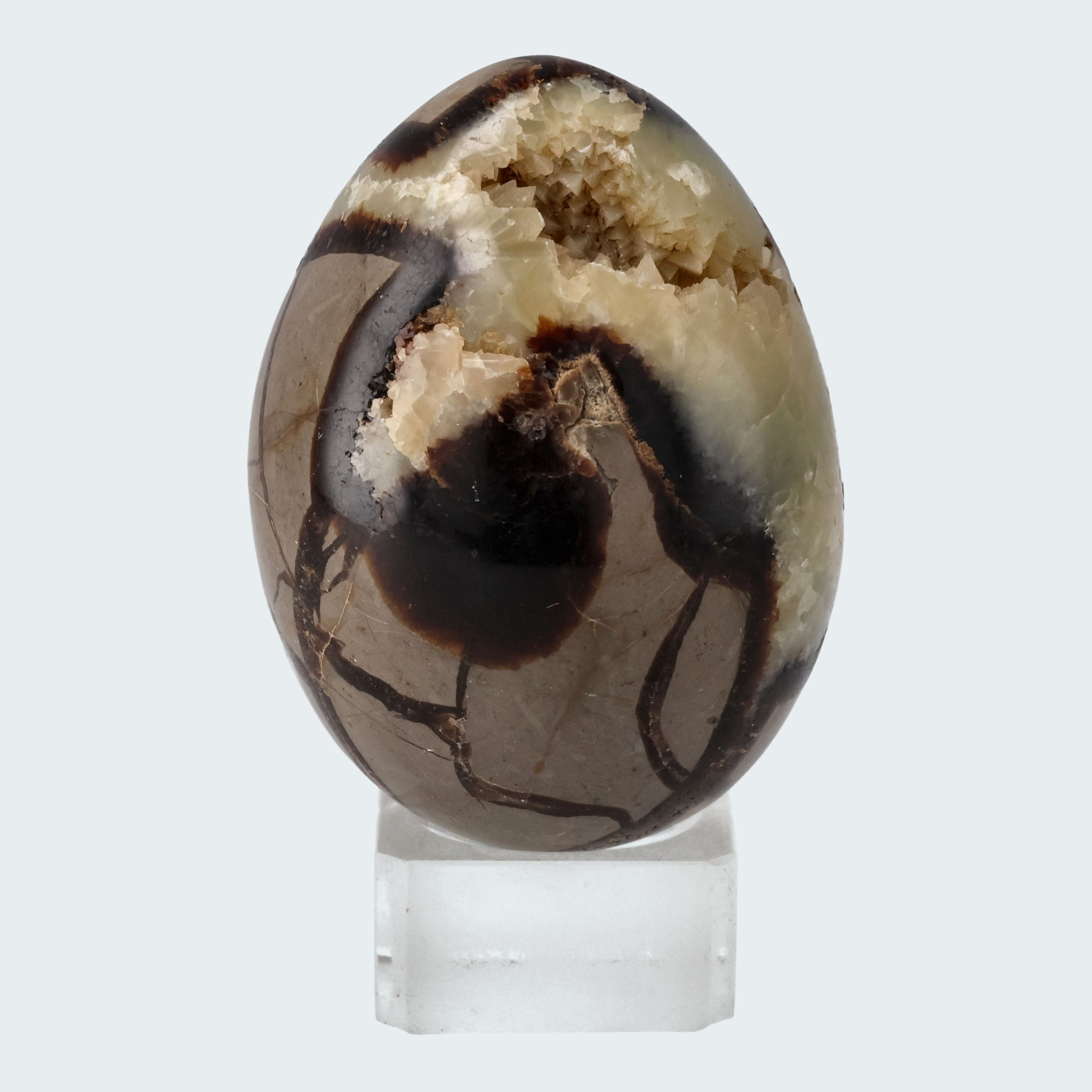 Septarie Druzy Eier (335-520g)