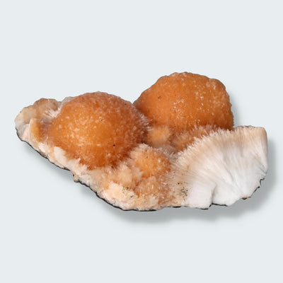 Thomsonit aus Indien (35g)