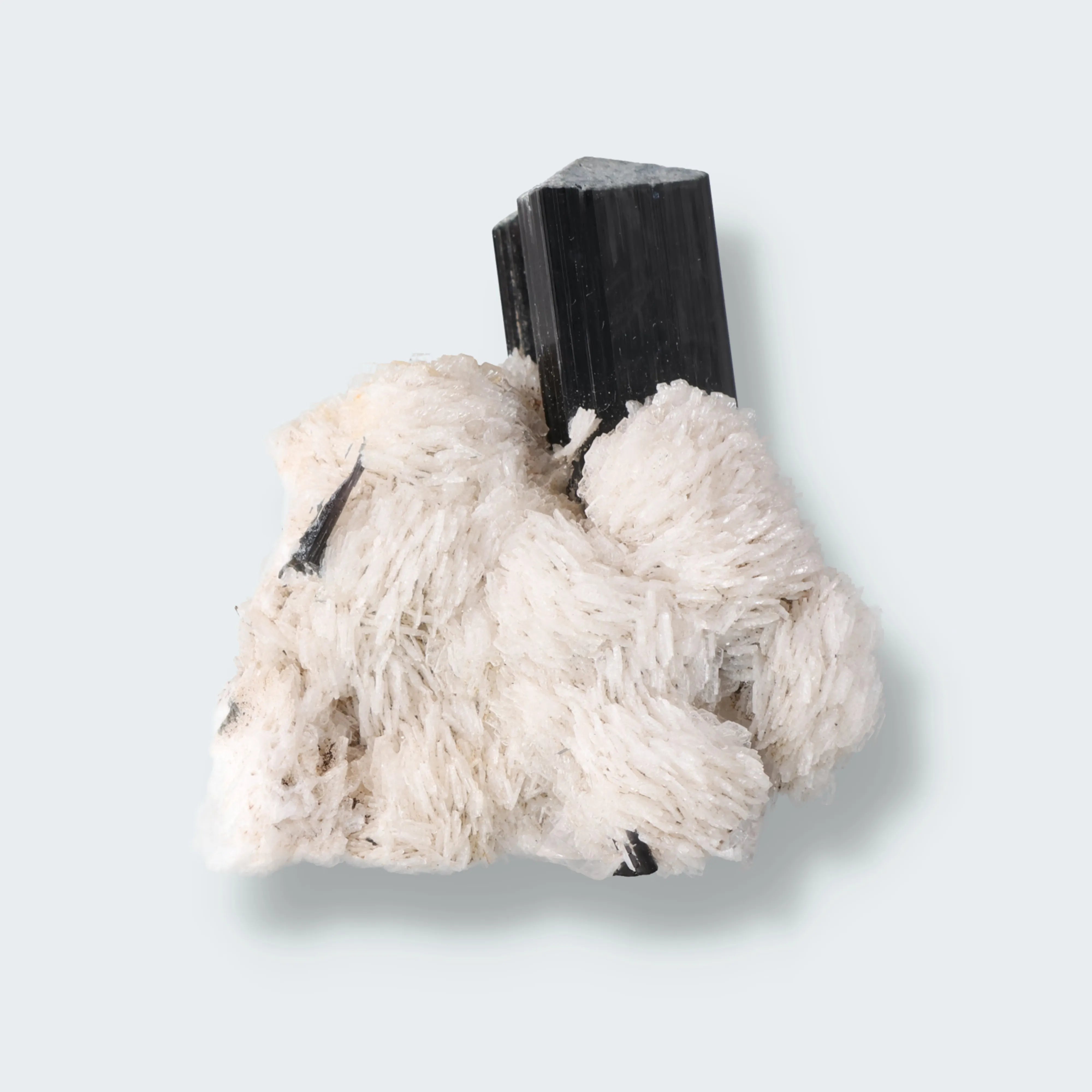 Schwarzer Schörl Turmalin an Himalaya Bergkristall (46,6g)