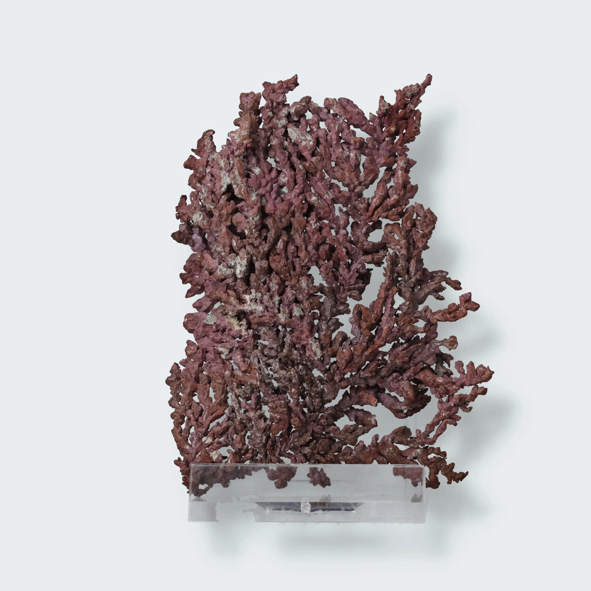 Kupfer aus Ural, Russland, Stufe 7 × 6 × 1 cm