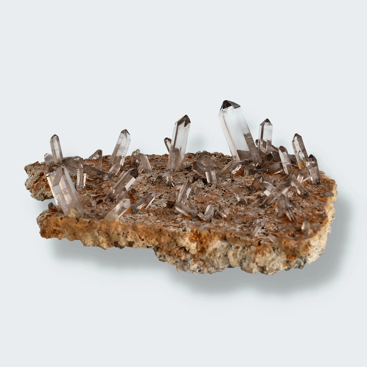 Rauchquarz aus Murmeltierkluft, Oberaar, Berner Oberland, Schweiz, Stufe 15,0 × 14,0 × 5,5 cm