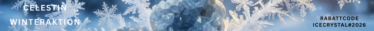 Winteraktion Celestin
