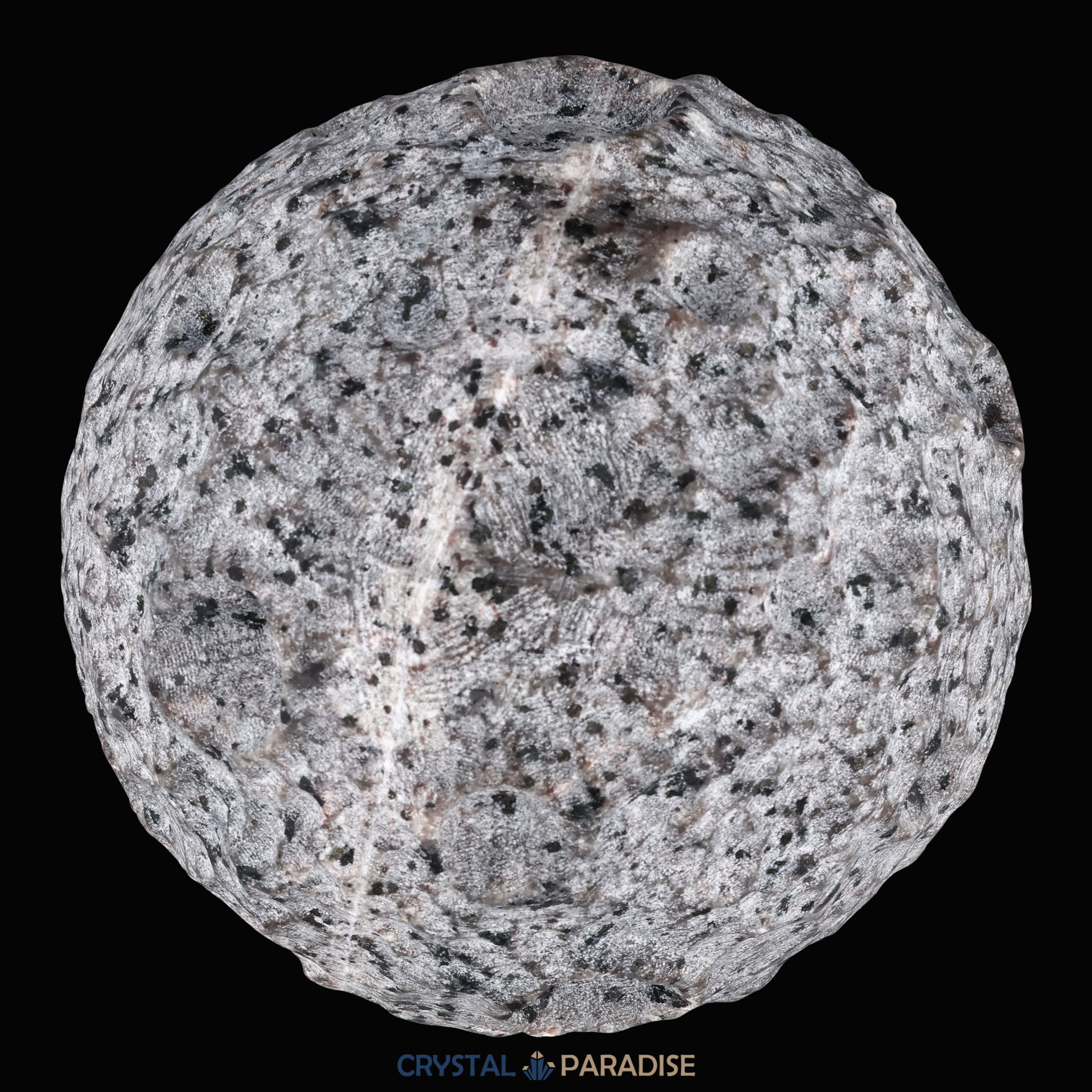 Yooperlit Mond aus Michigan USA (1500g) - Glowing Rock - UV reaktiv – Ansicht 14