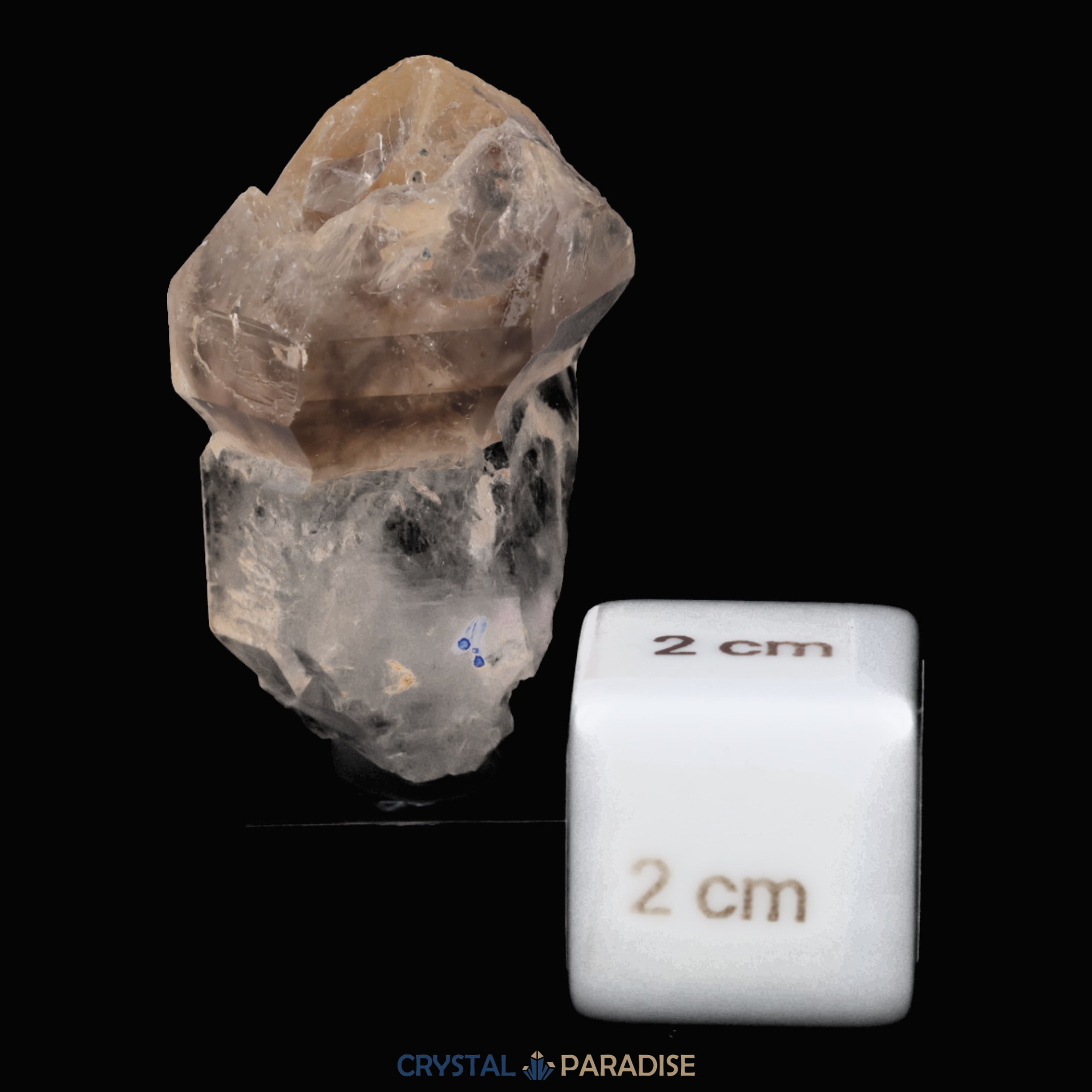 Zepter Rauchquarz mit Fensterwachstum aus Namibia (30g) – Ansicht 2