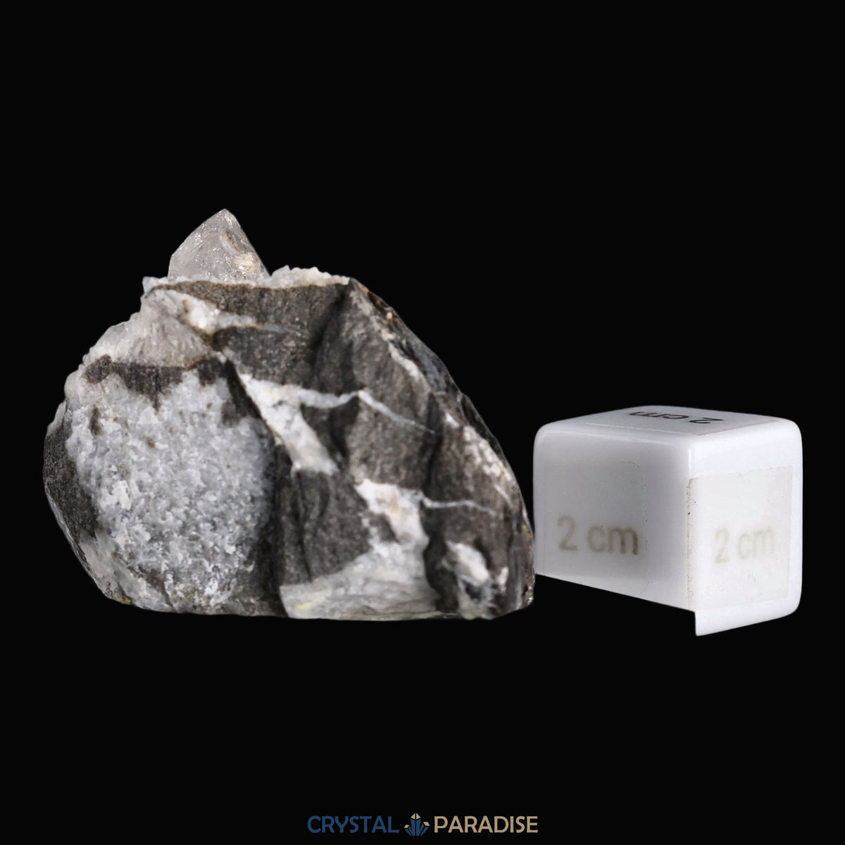 Zepterquarz aus dem Wallis (84g) – Ansicht 6